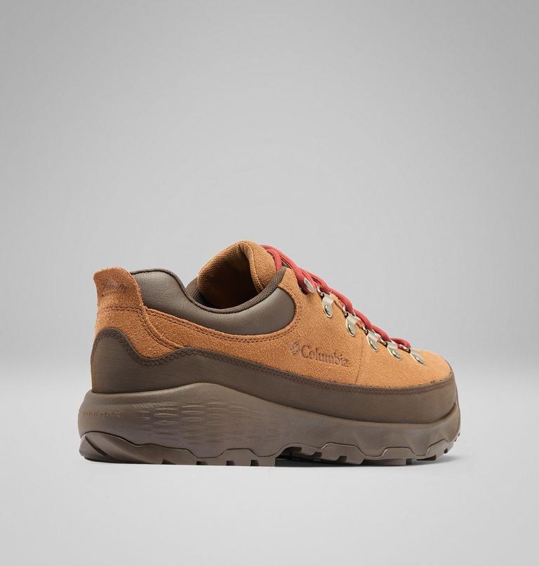 Men's Newton Alpine Waterproof Shoes, Color: Grizzly Bear, Red Oxide, image 9
