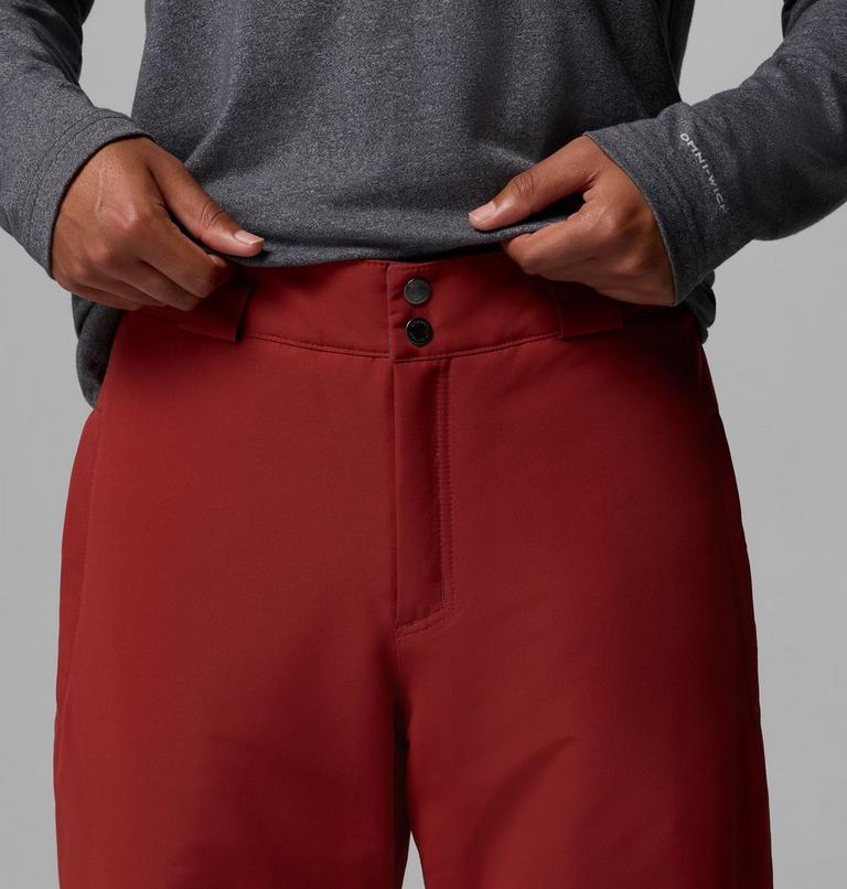 Men's Bugaboo VI Waterproof Ski Trousers, Color: Red Oxide, Shark, image 5