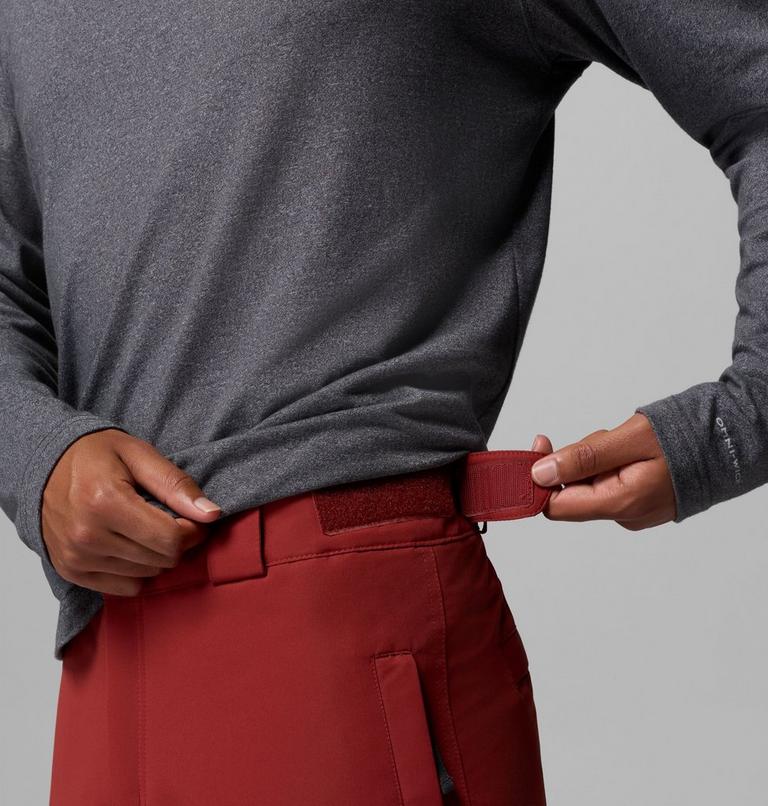 Men's Bugaboo VI Waterproof Ski Trousers, Color: Red Oxide, Shark, image 6