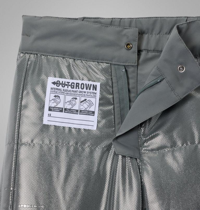 Youth Bugaboo IV Waterproof Ski Trousers, Color: Sedona Sage, image 3