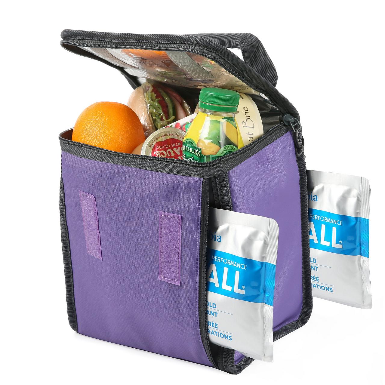 Clear Horizons™ Fridge Cold Lunch Pack 5