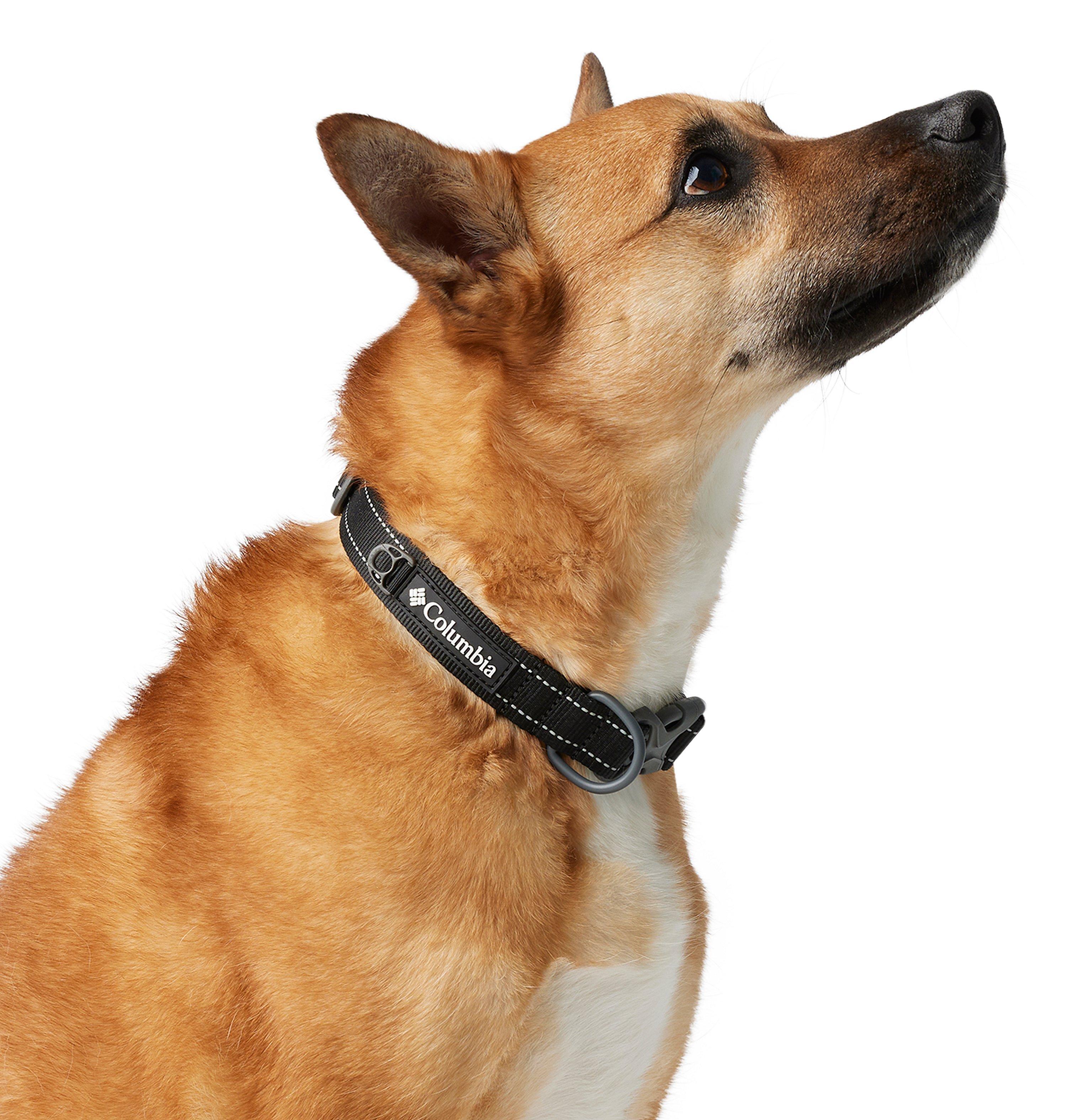 Silver Ridge™ Dog Collar | 010 | M 3