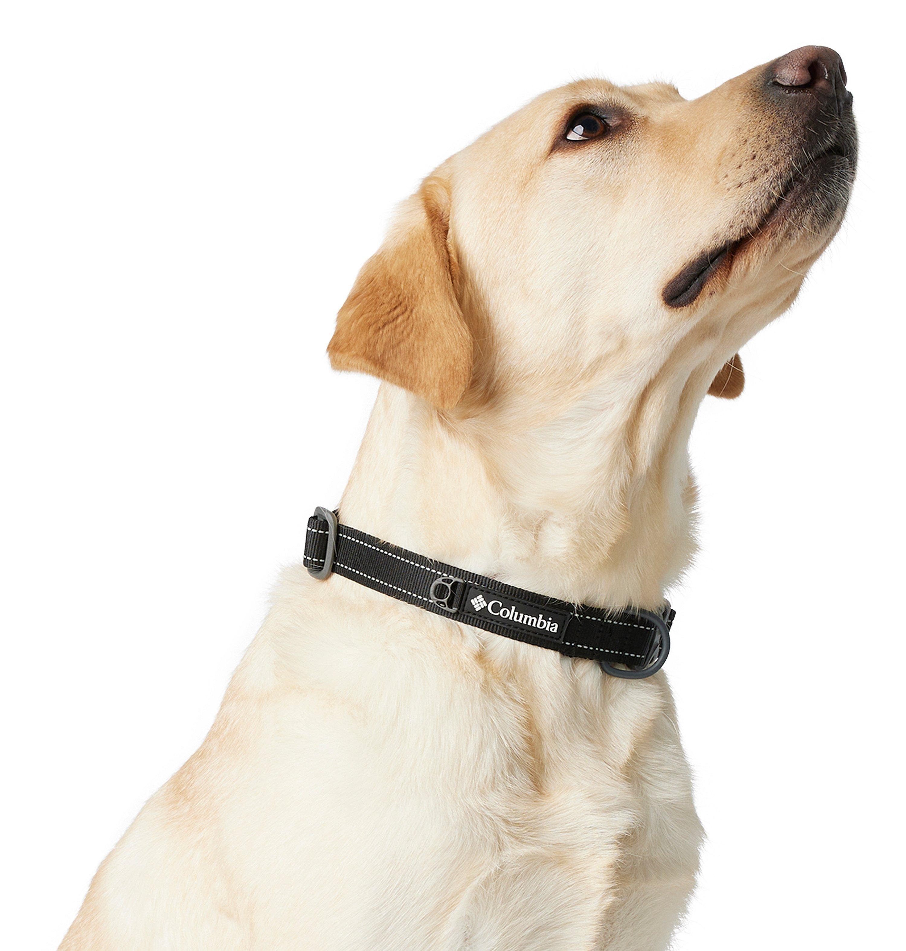Silver Ridge™ Dog Collar | 010 | M 4
