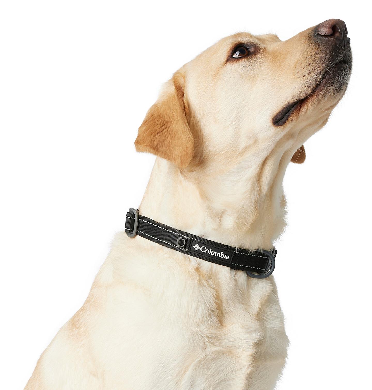 Сумка Columbia Silver Ridge Dog Collar, цвет: Чёрный — фото 4
