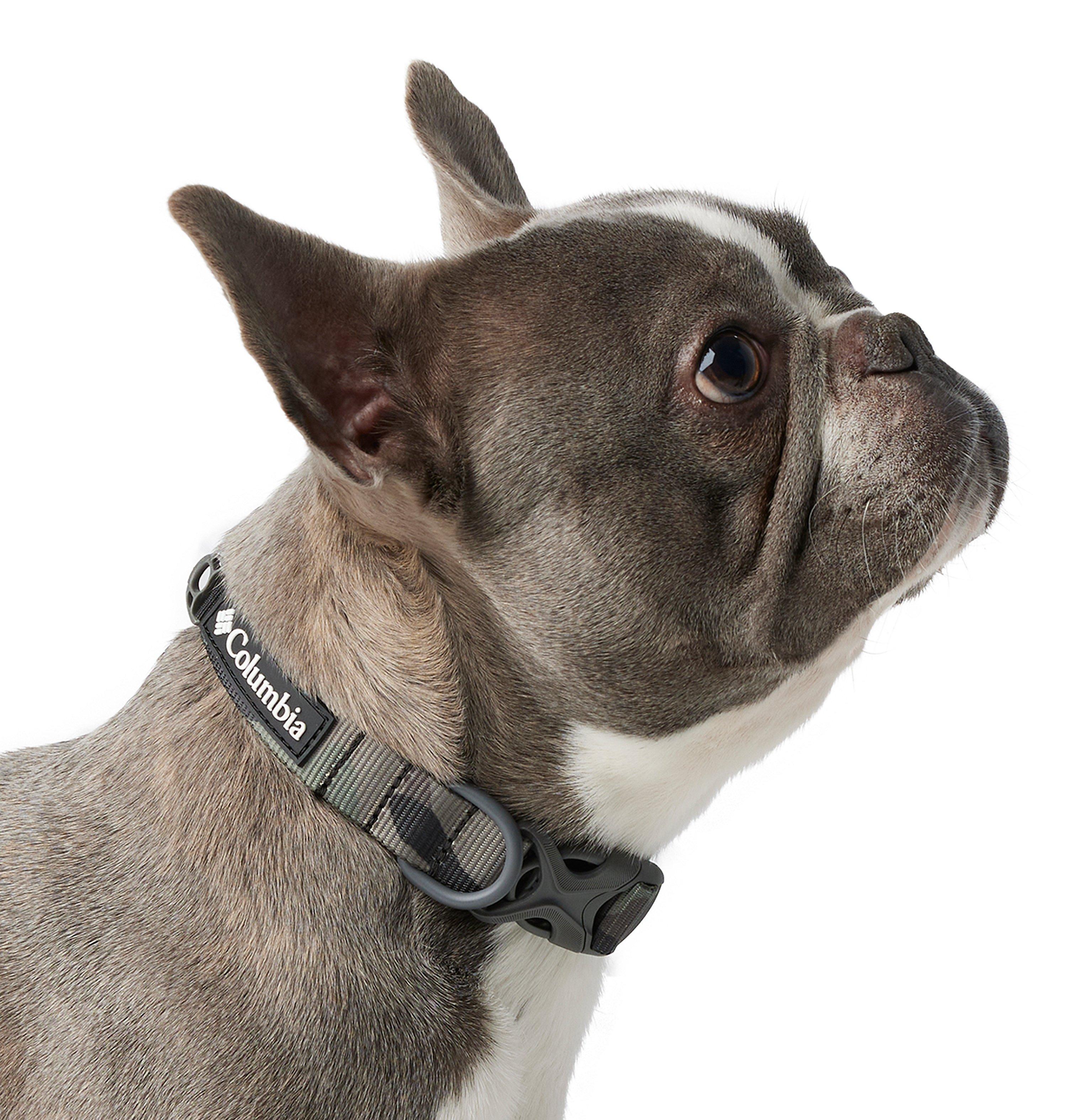 Columbia Silver Ridge  Dog Collar-