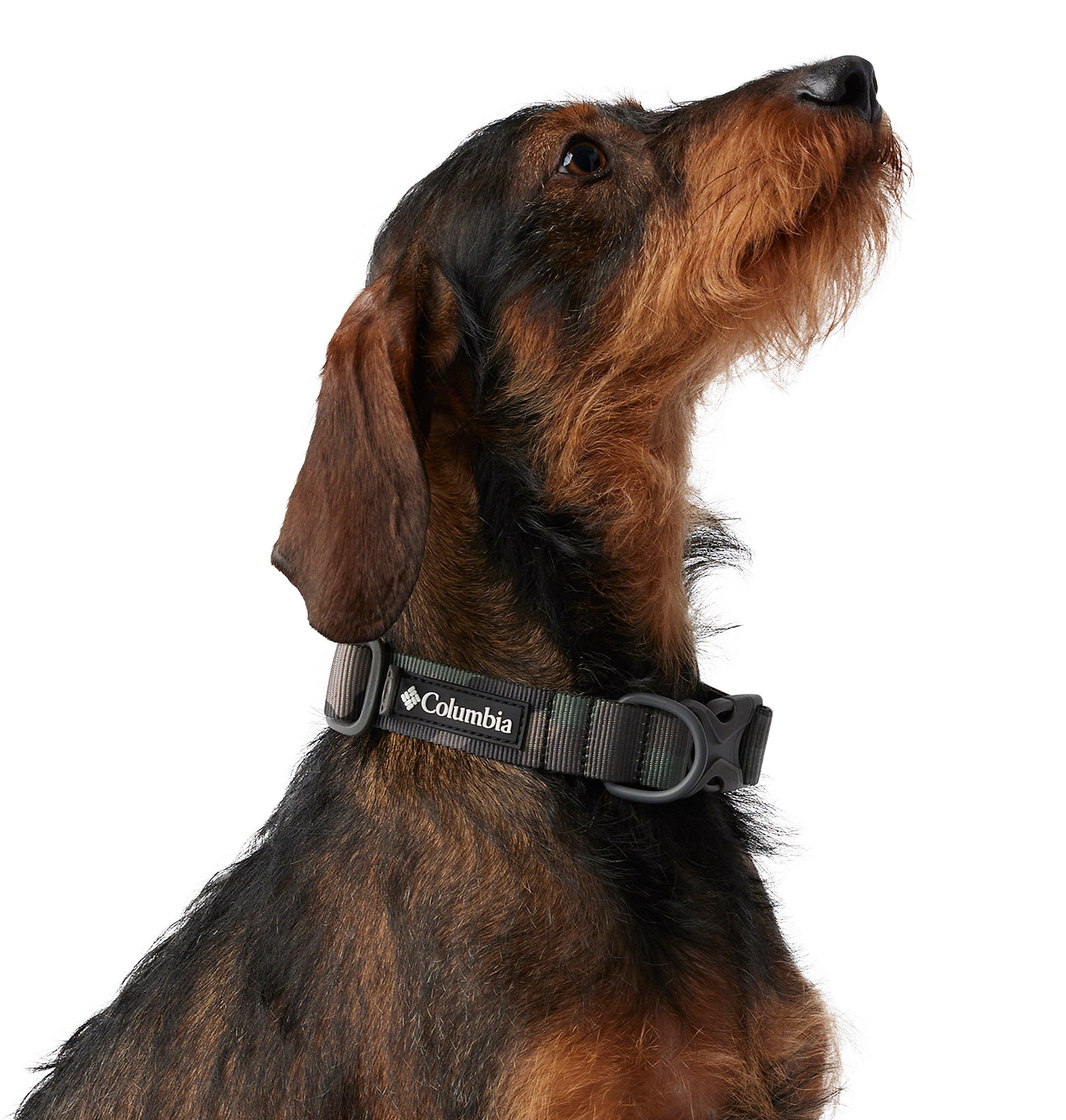 Silver Ridge™ Dog Collar | 316 | L 3