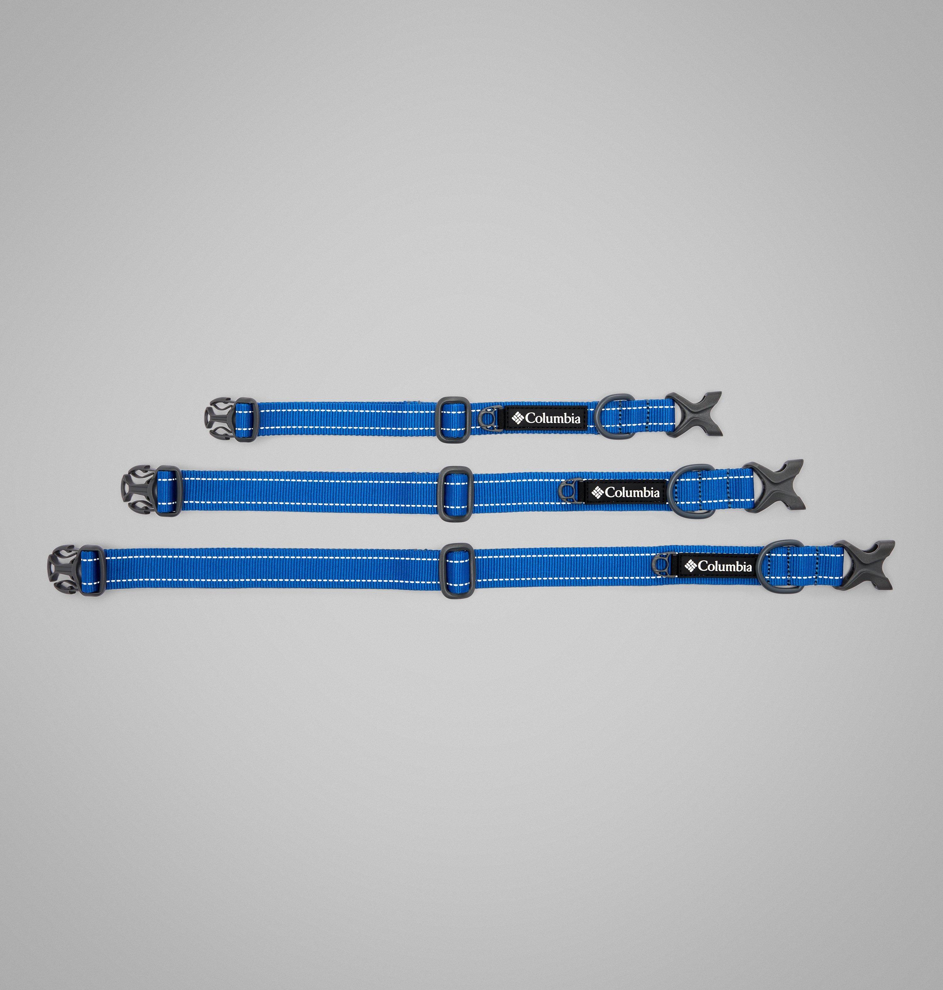 Silver Ridge Dog Collar 5
