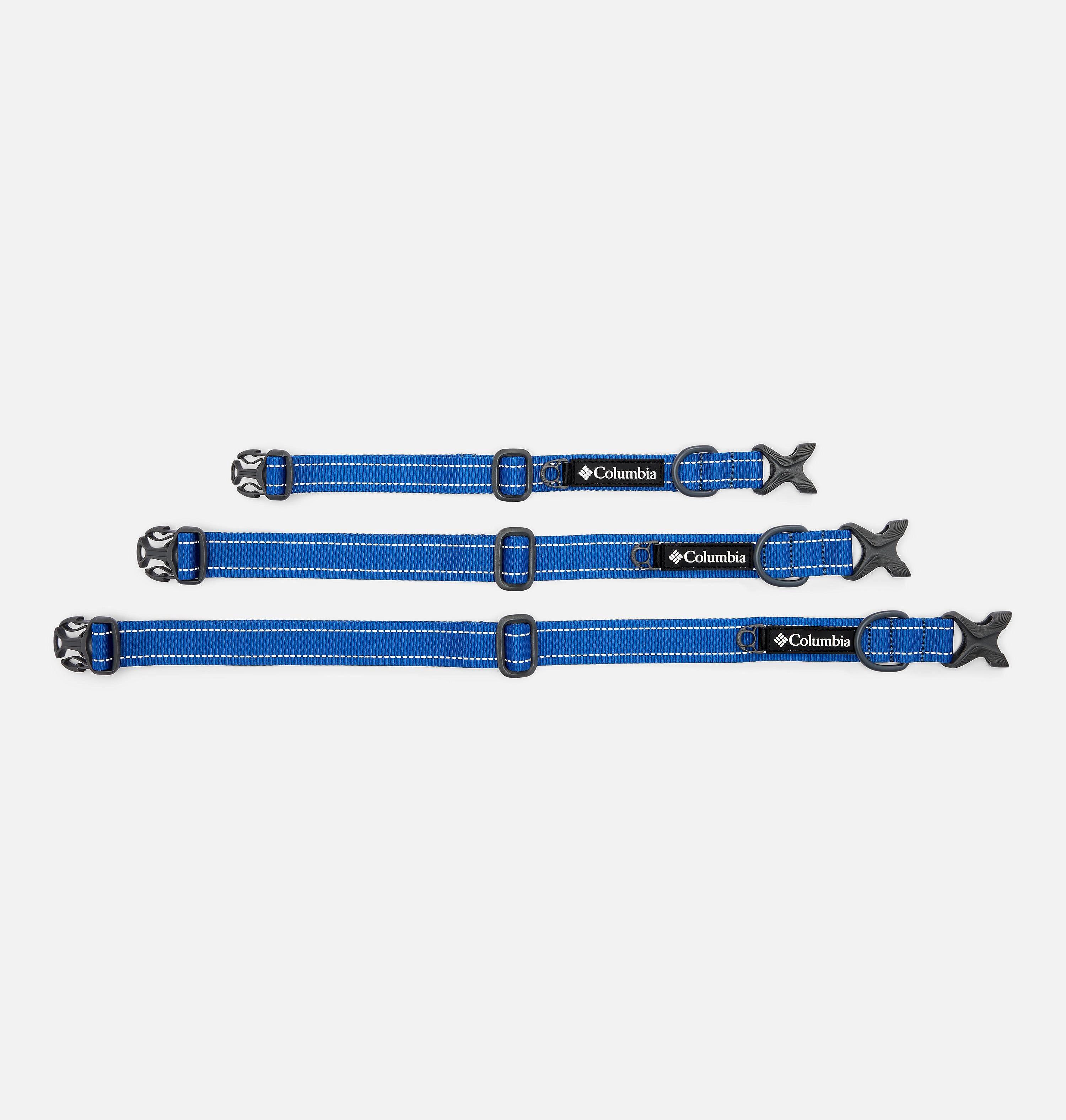 Silver Ridge Dog Collar 6