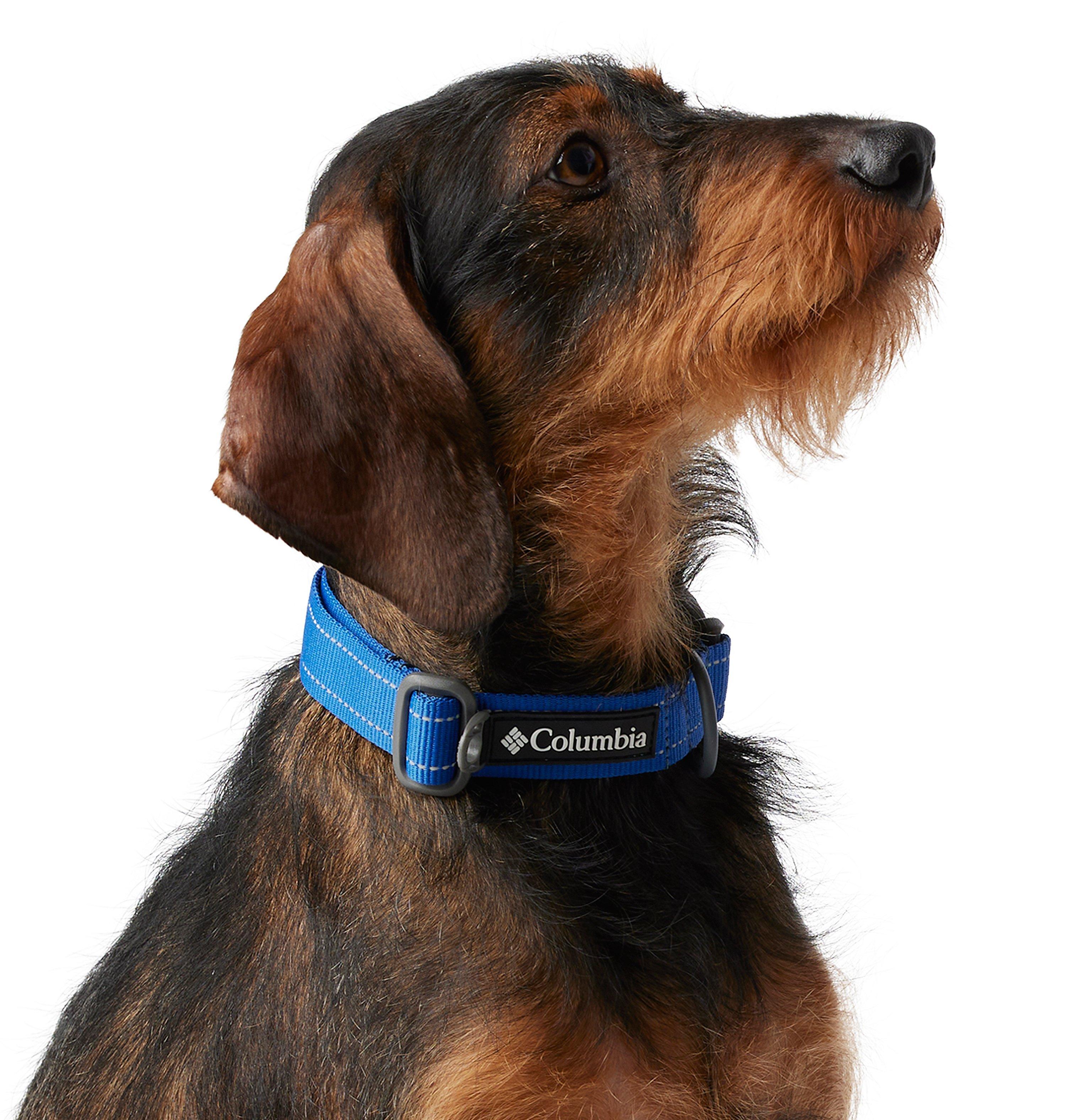 Silver Ridge Dog Collar 3