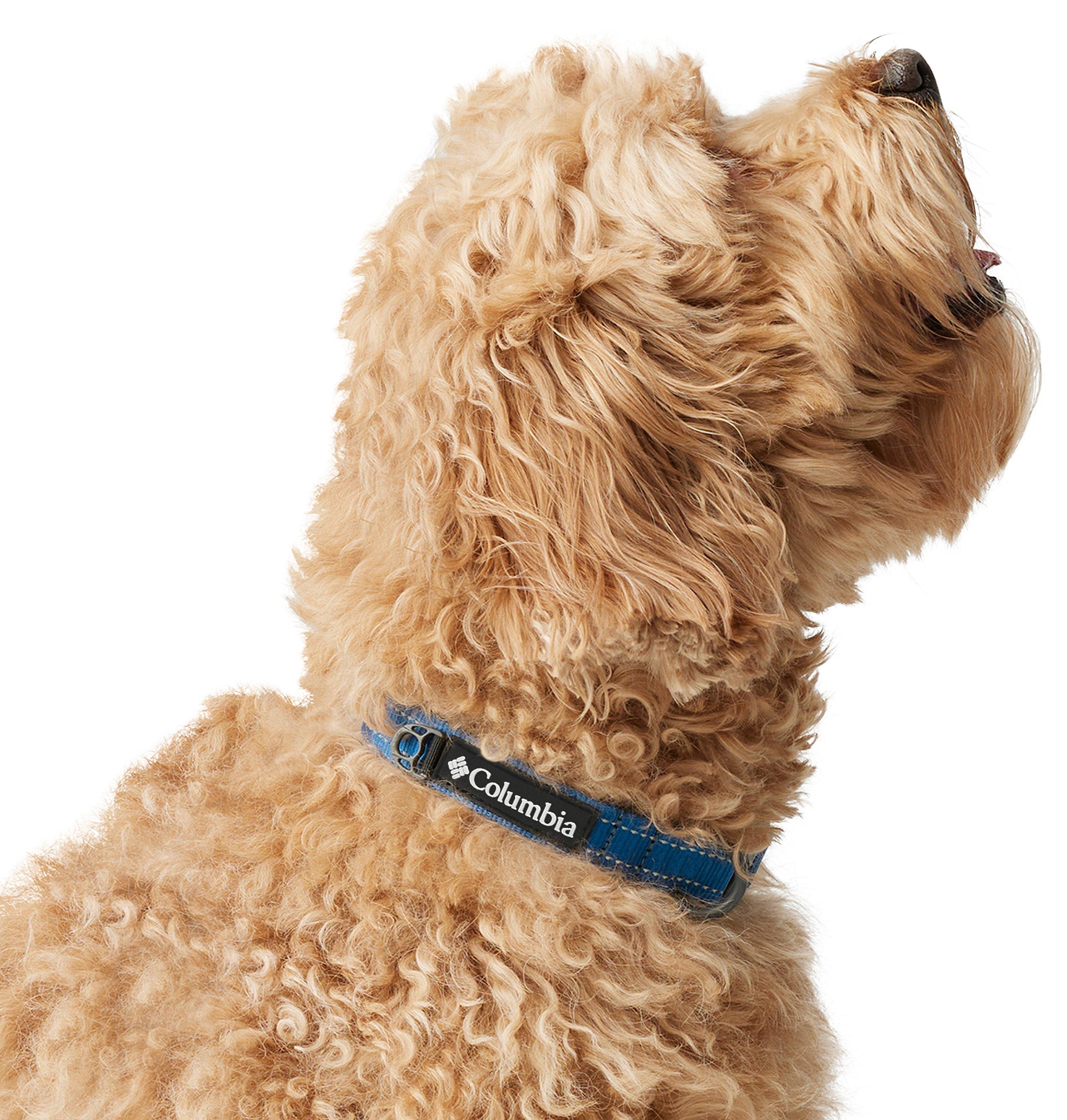 Silver Ridge Dog Collar 4