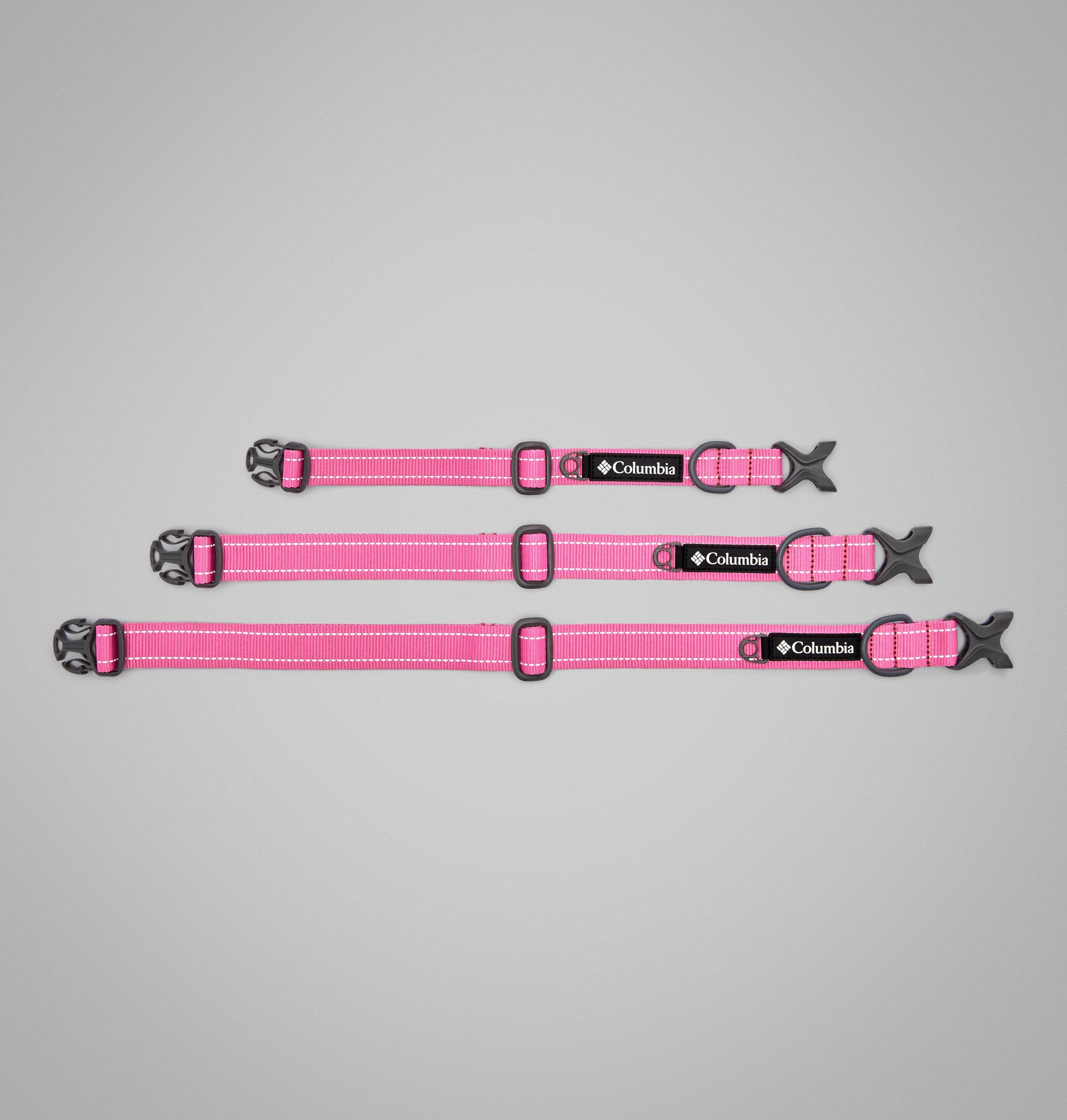 Silver Ridge Dog Collar 5