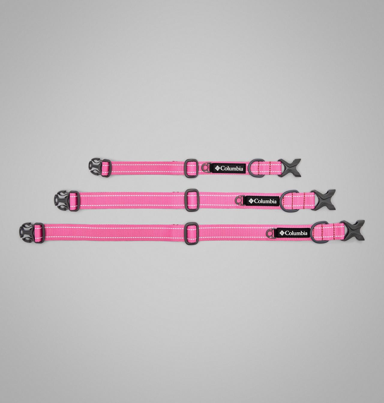 Silver Ridge™ Dog Collar 5