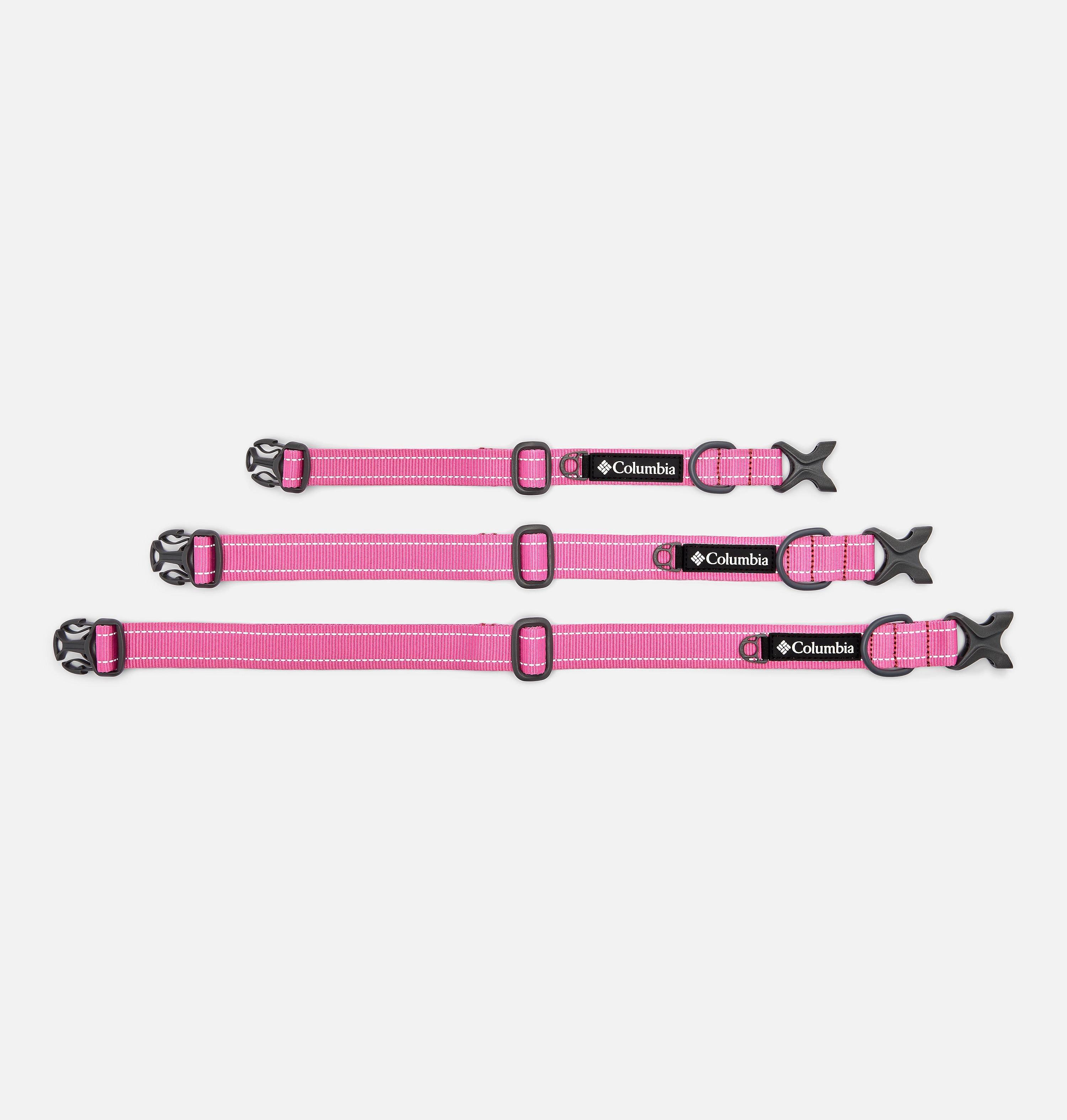 Silver Ridge Dog Collar 6