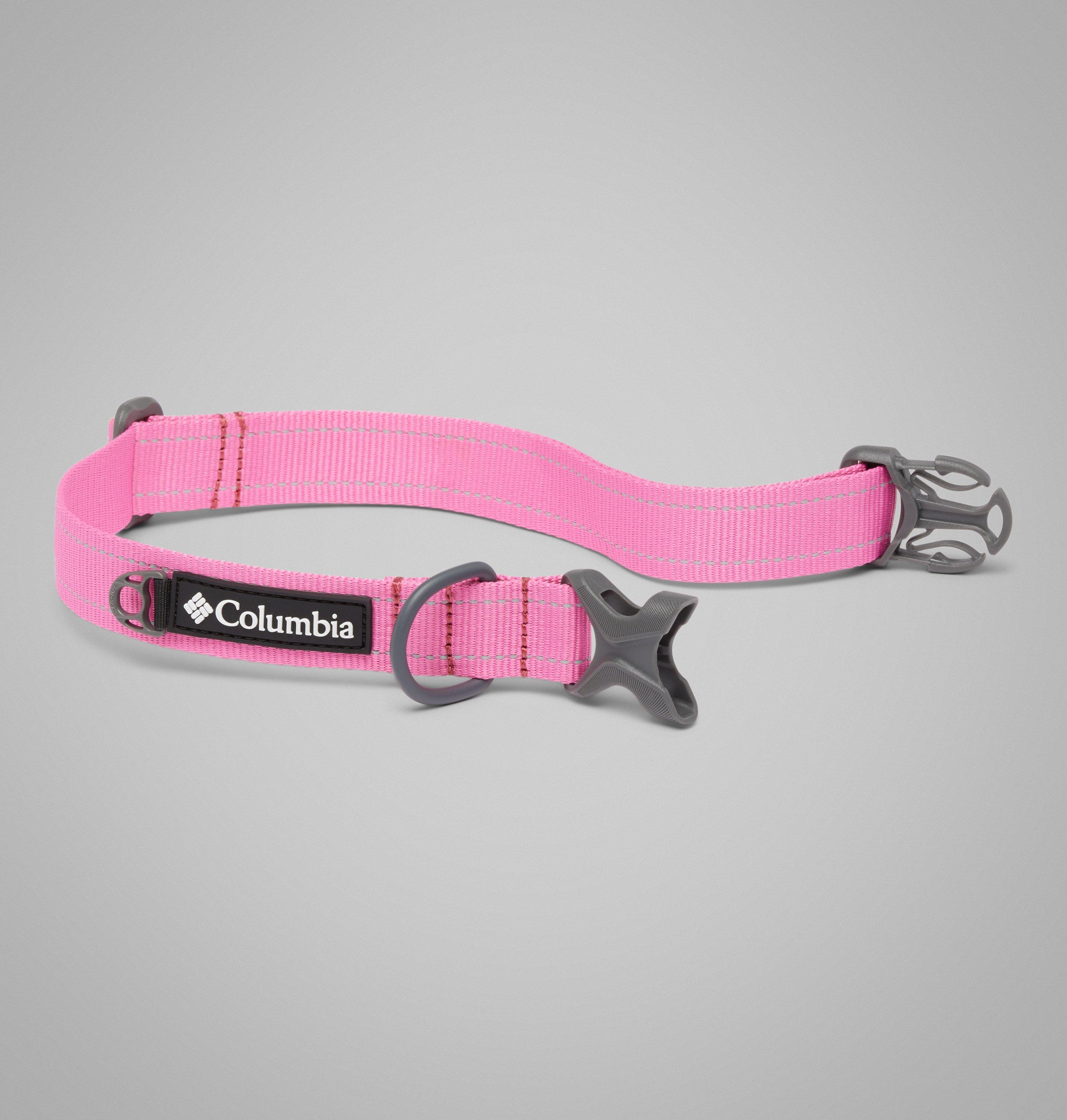 Silver Ridge Dog Collar 2