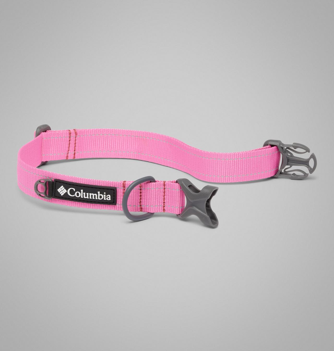 Silver Ridge™ Dog Collar 2