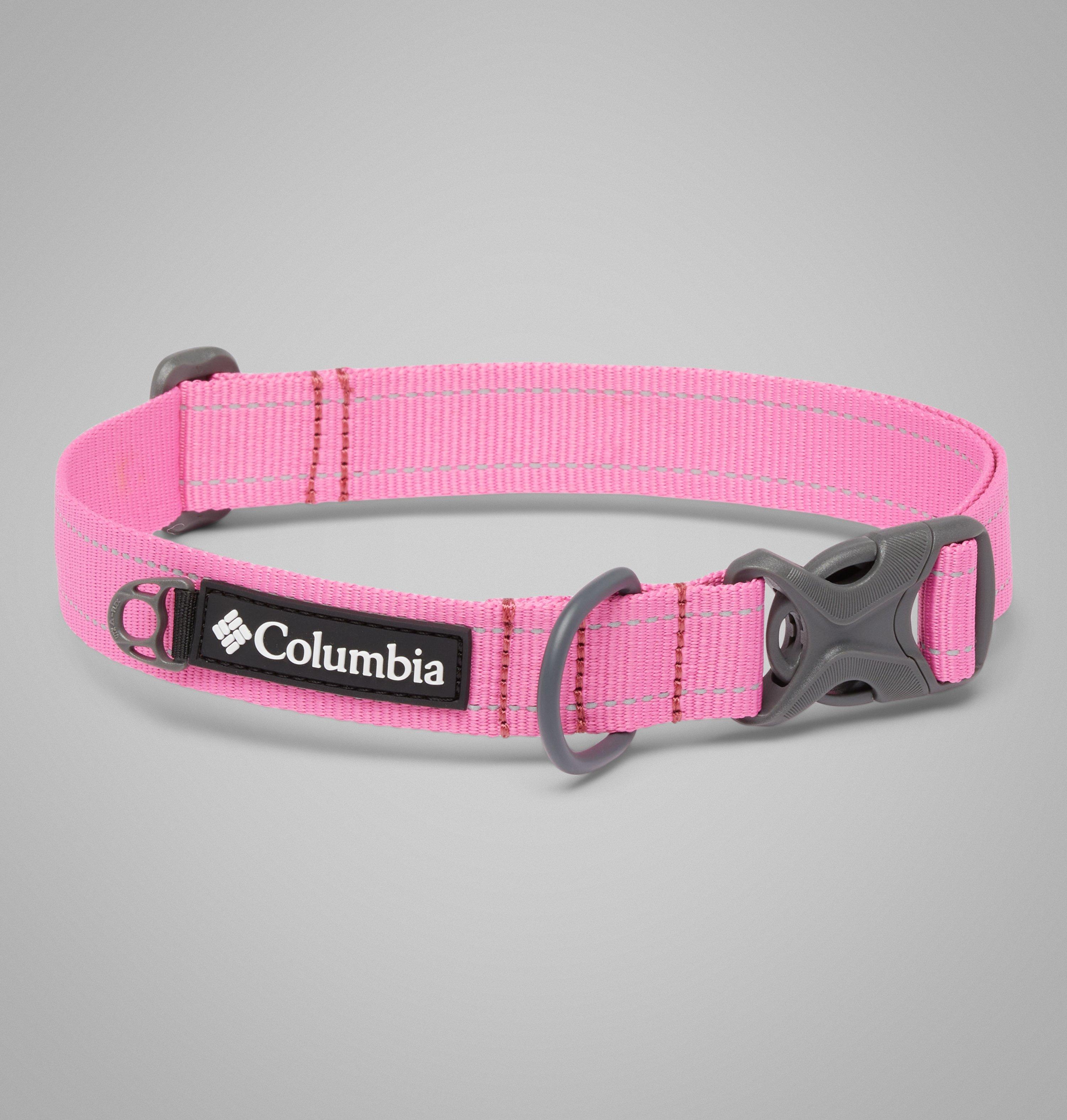 Silver Ridge Dog Collar 1