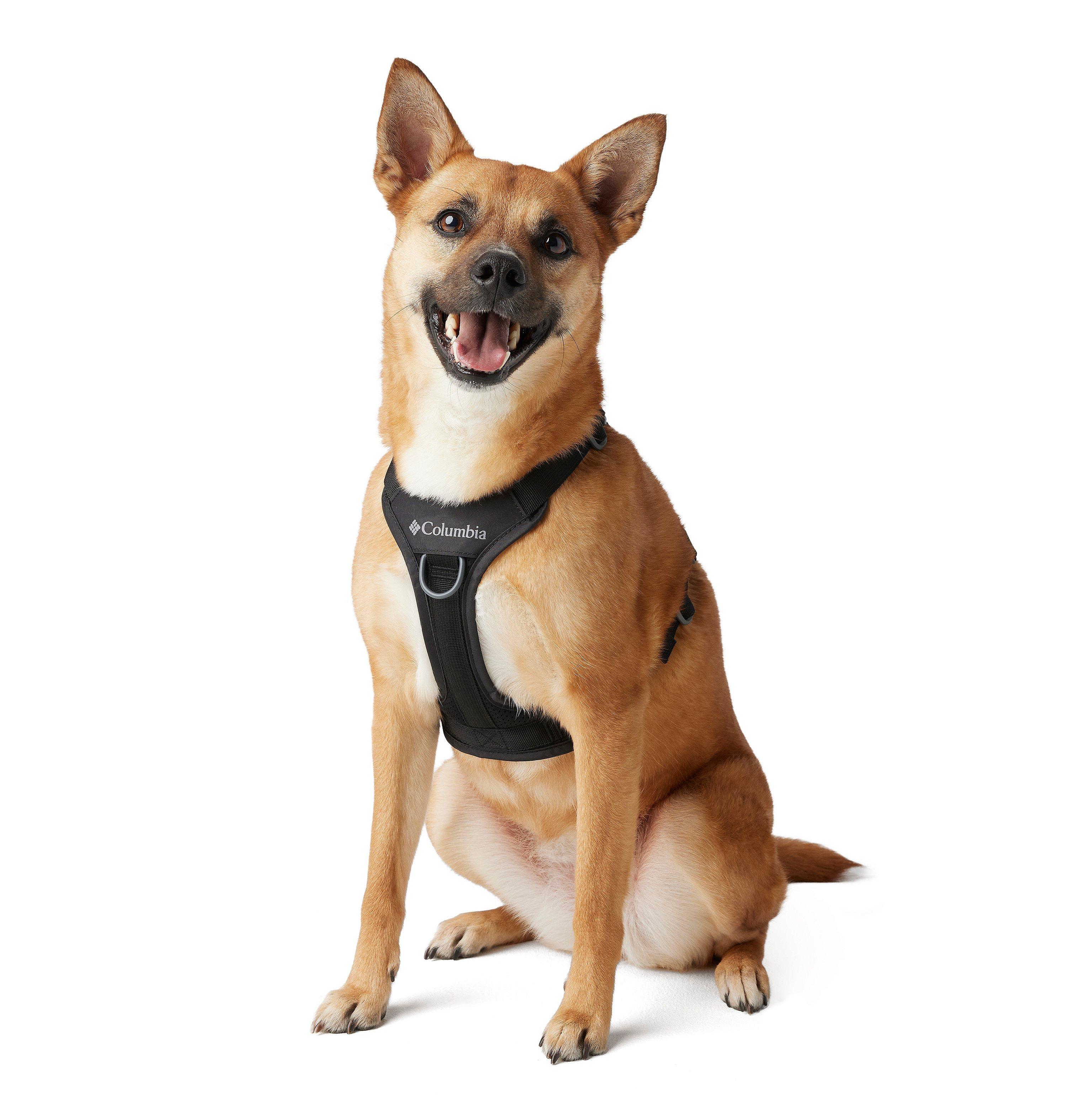 Silver Ridge™ Dog Harness | 010 | L 5