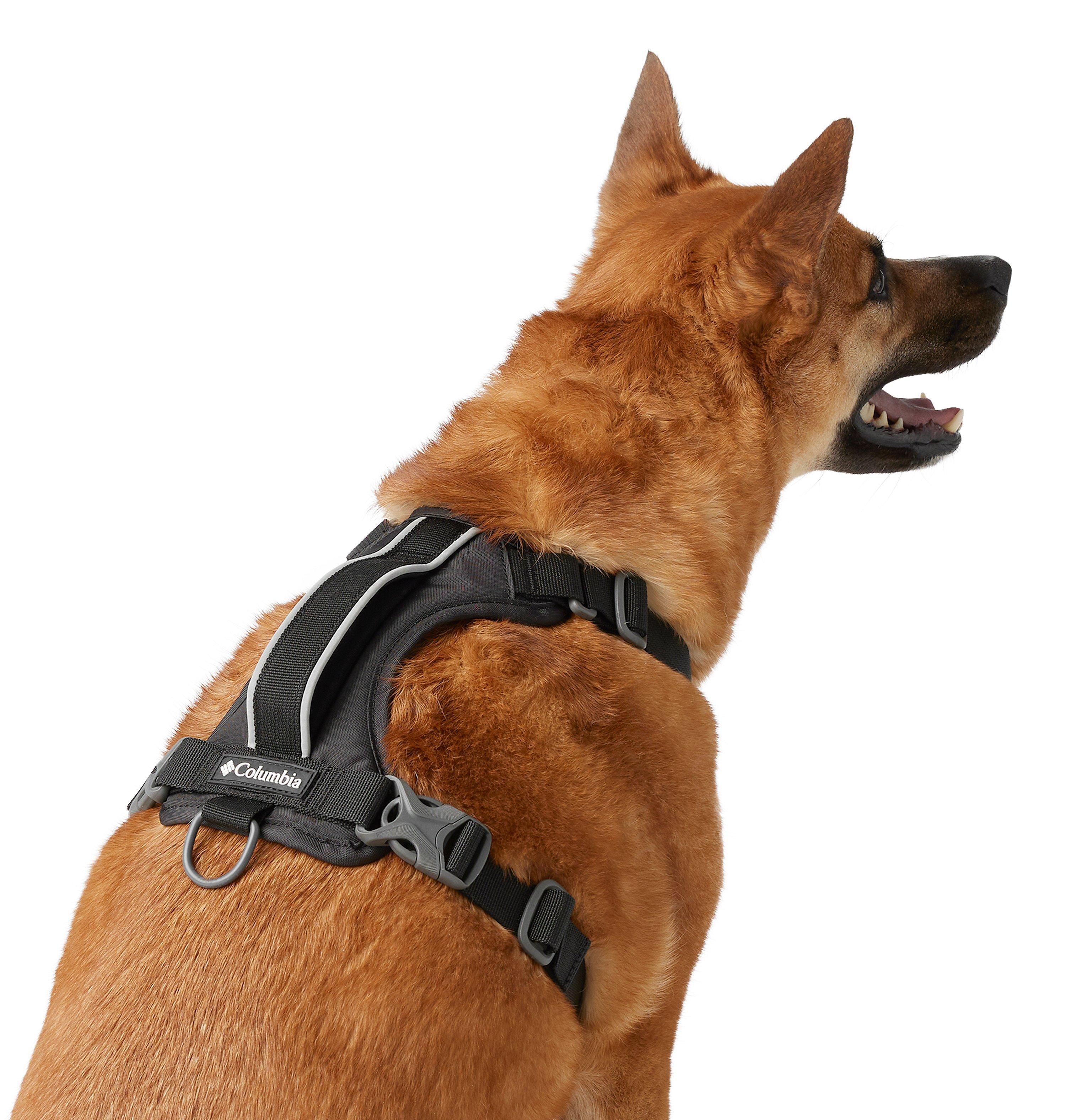Silver Ridge™ Dog Harness | 010 | L 6