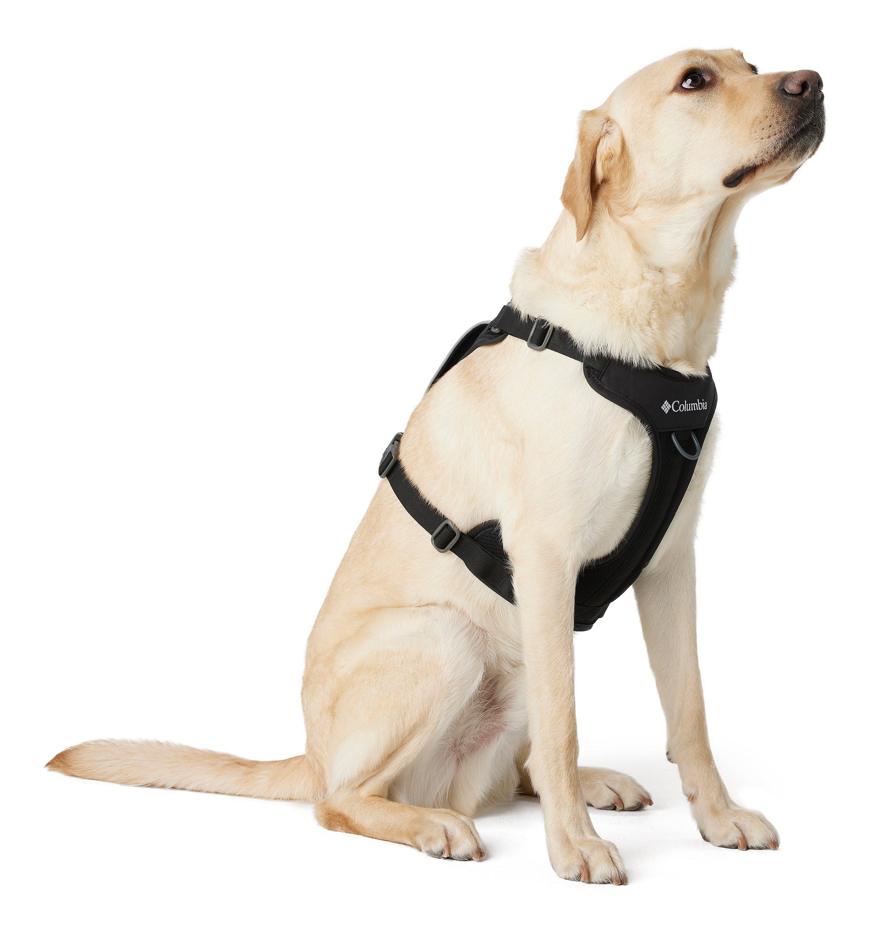 Silver Ridge™ Dog Harness | 010 | L 7