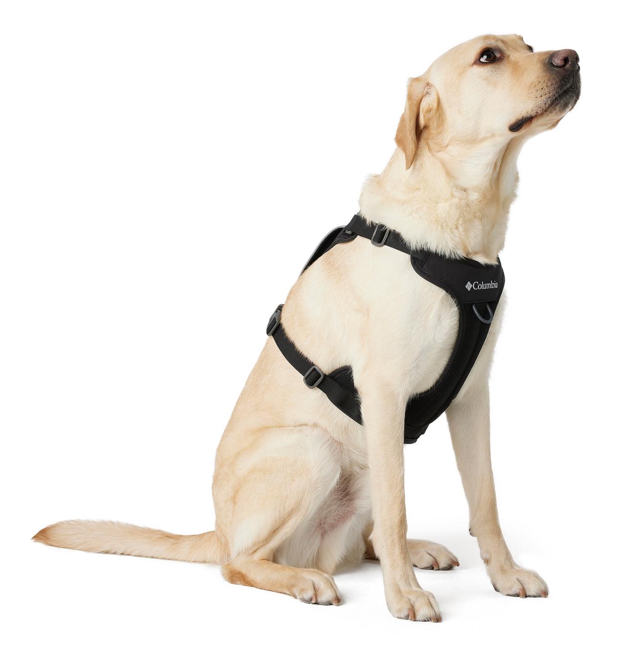 Silver Ridge™ Dog Harness 7
