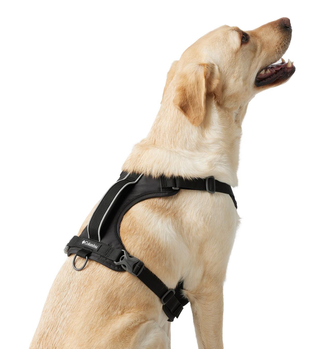Silver Ridge™ Dog Harness 8