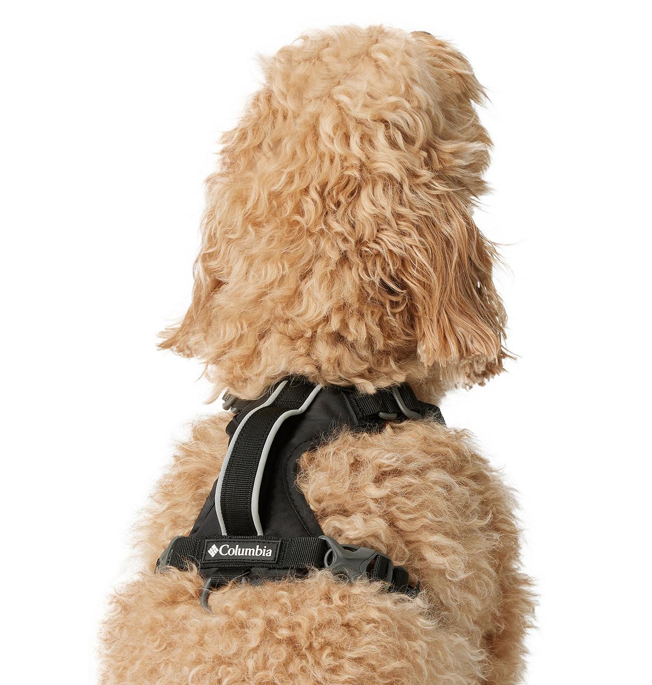 Silver Ridge™ Dog Harness 4