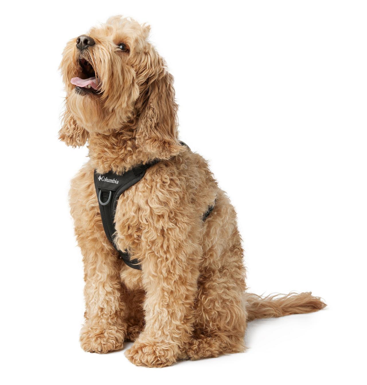 Silver Ridge™ Dog Harness 3