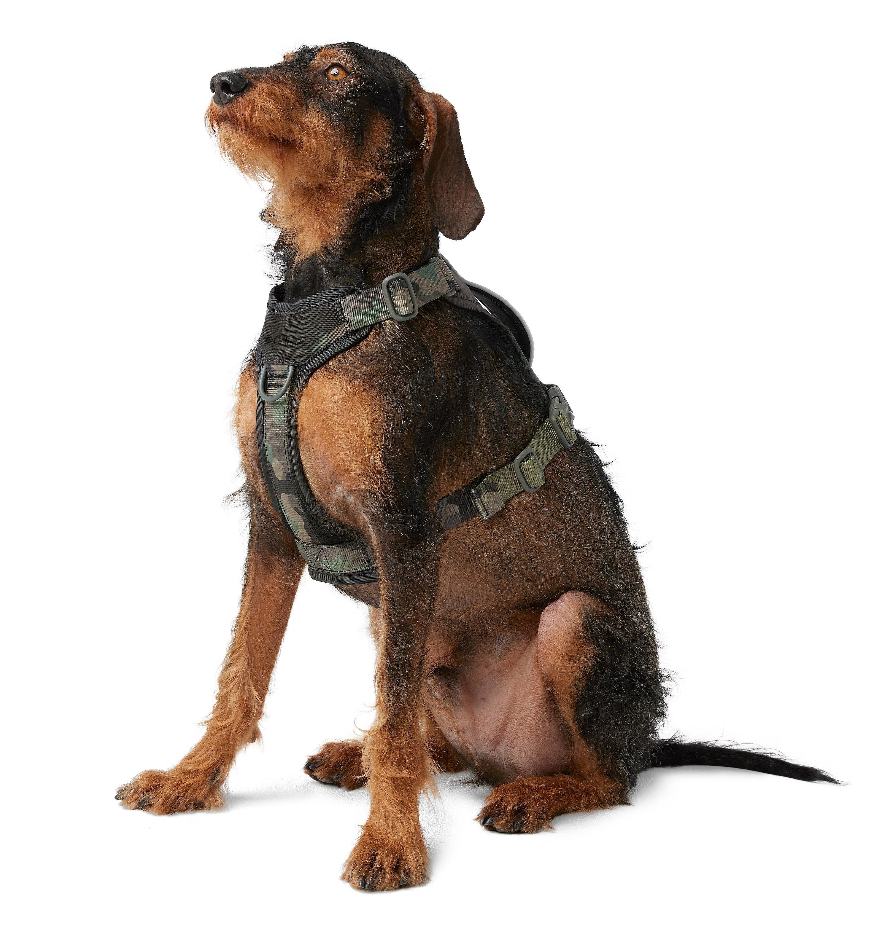 Silver Ridge Dog Harness 3