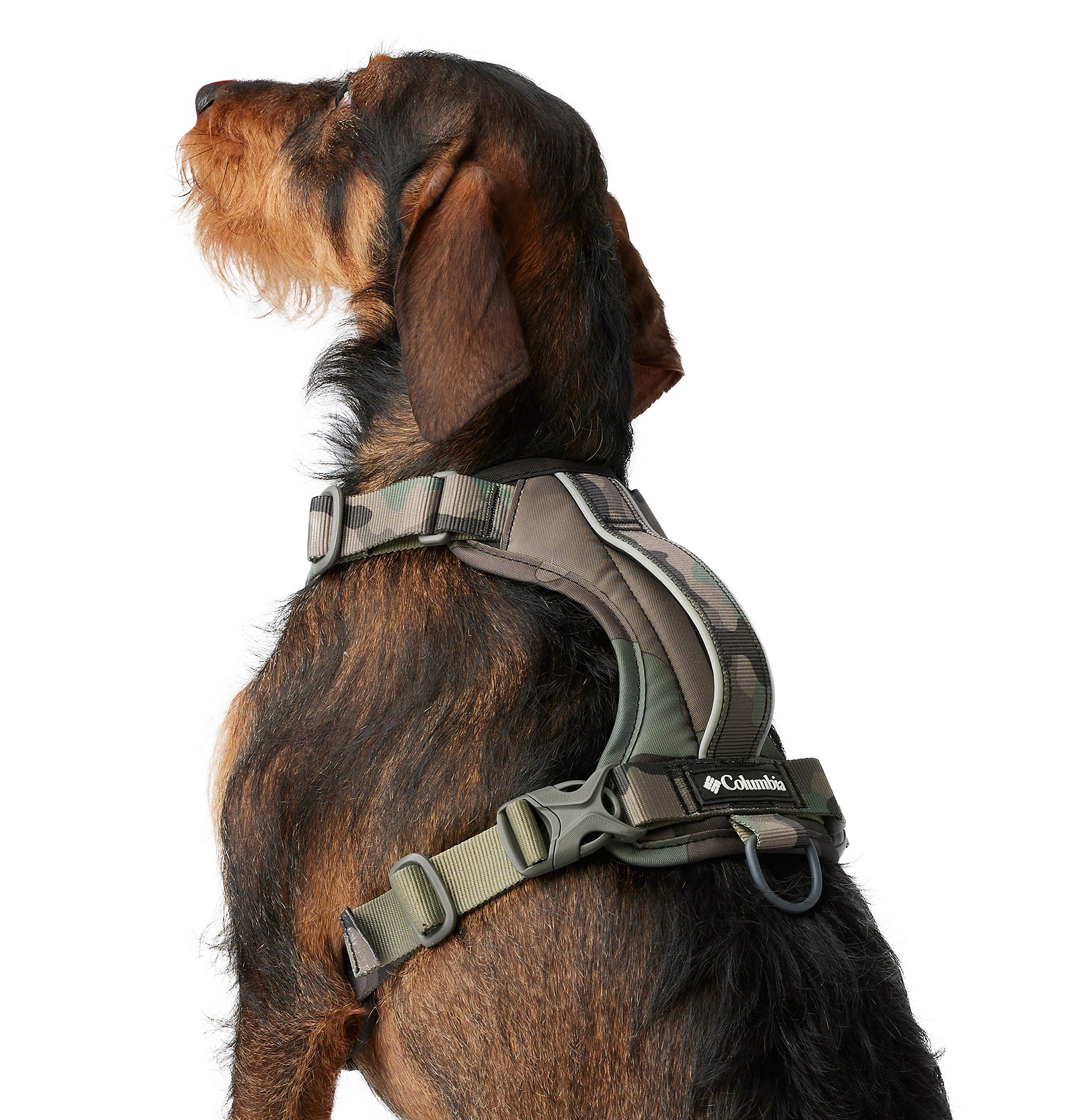 Silver Ridge Dog Harness 4
