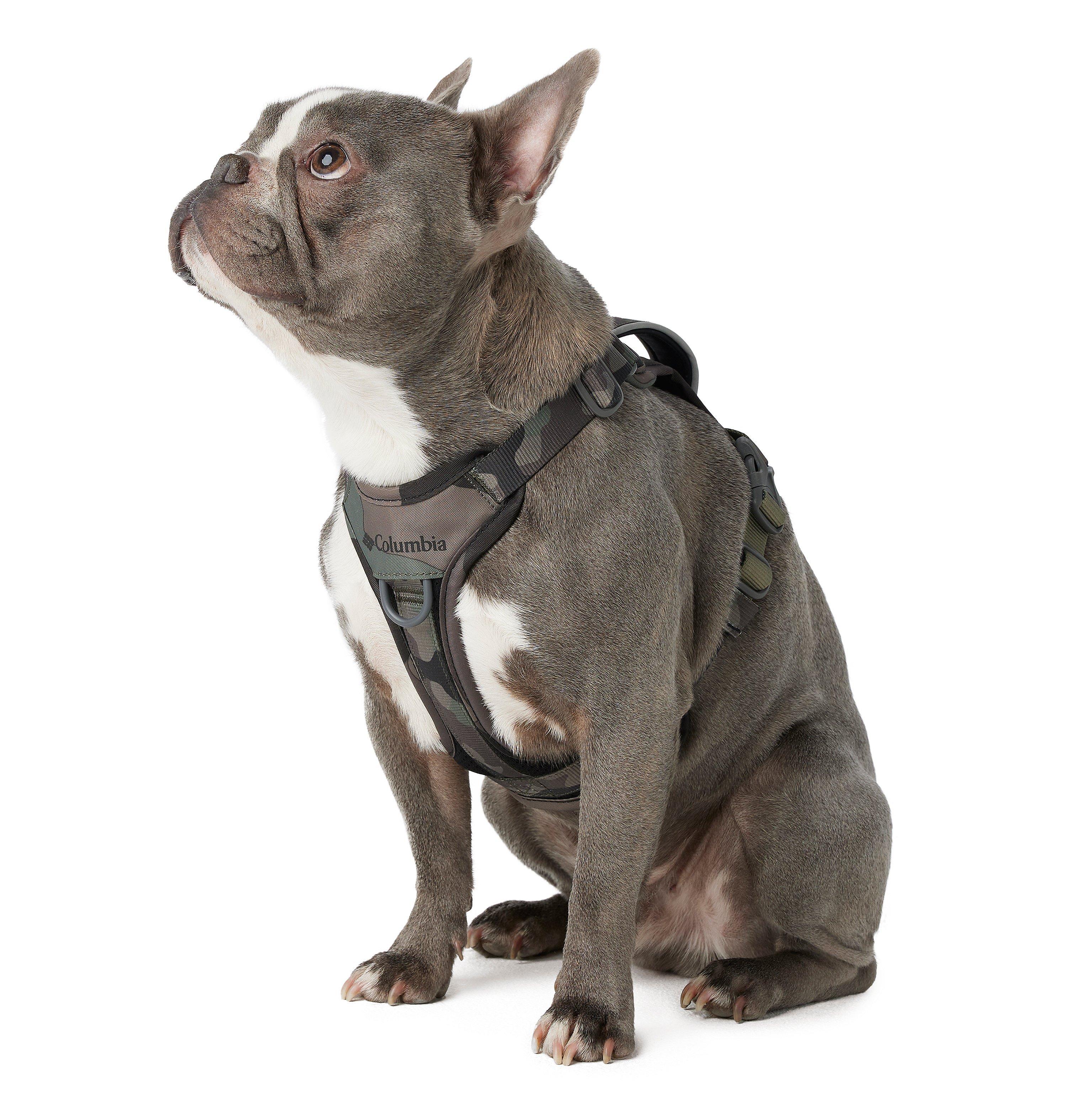 Silver Ridge Dog Harness 5