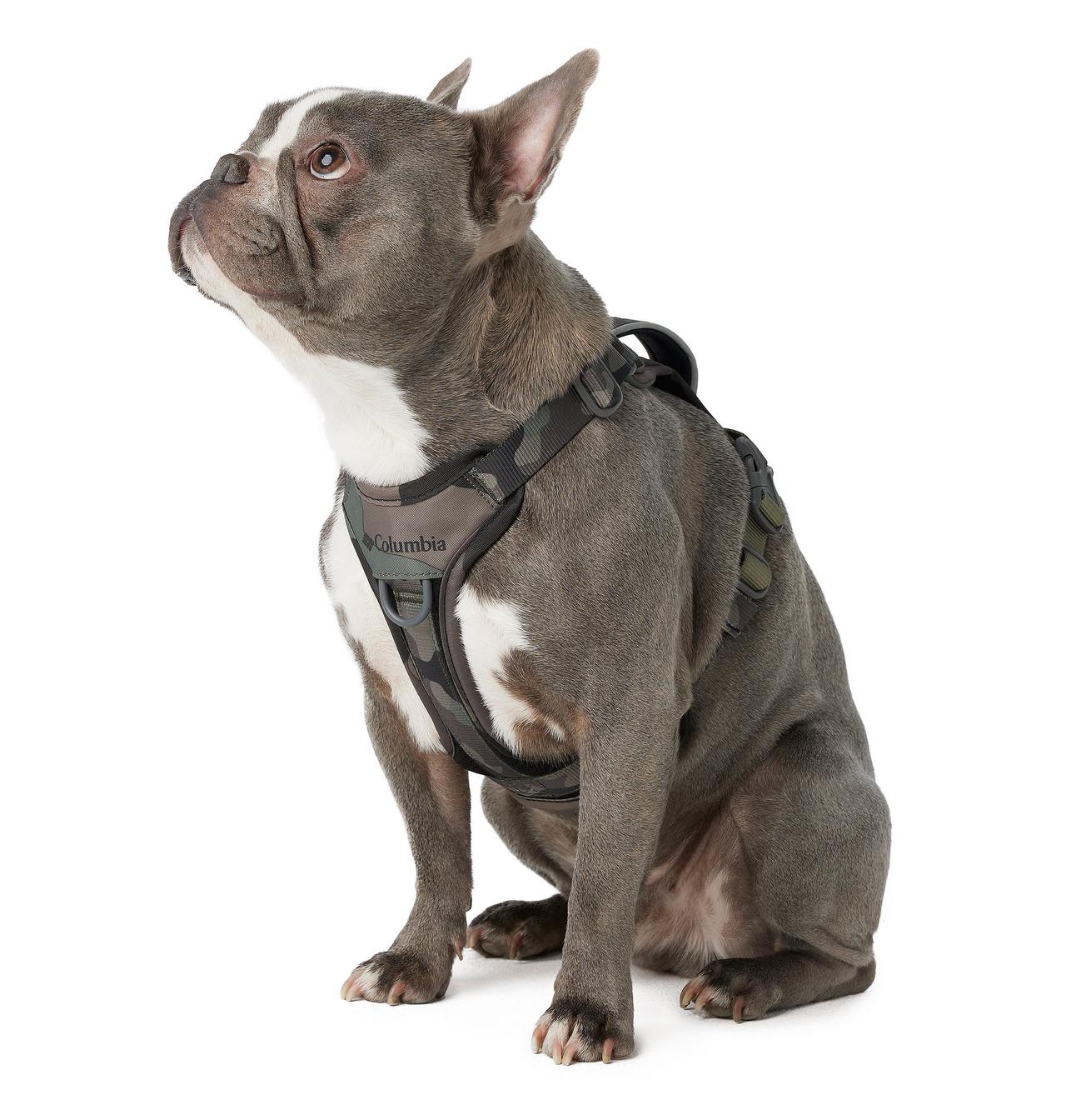 Silver Ridge™ Dog Harness