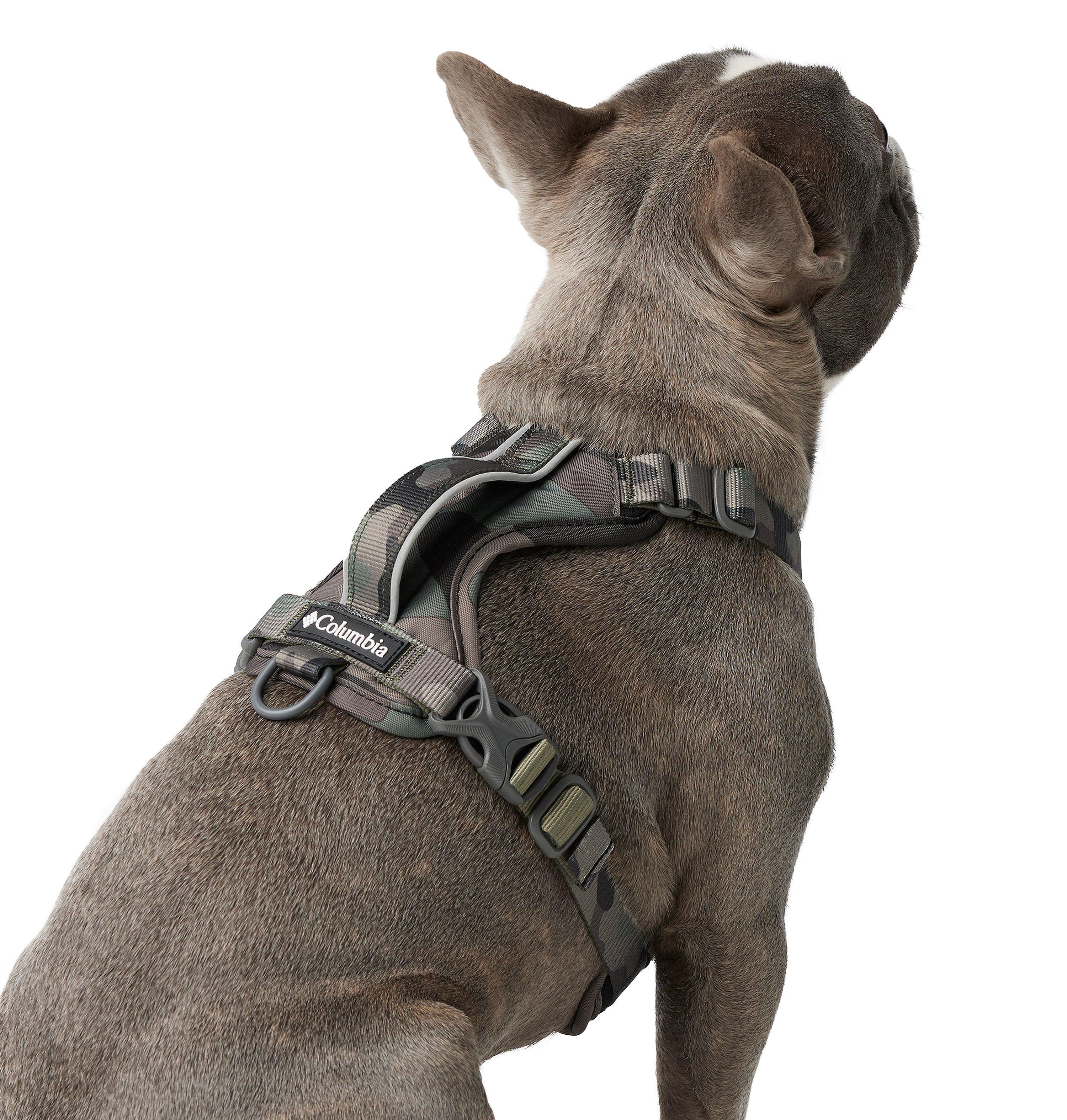 Silver Ridge Dog Harness 6