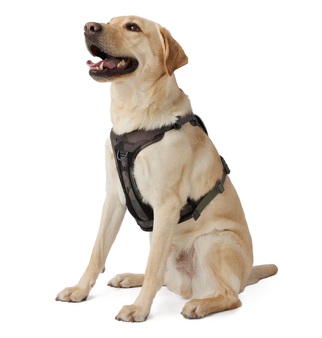 Silver Ridge™ Dog Harness 1