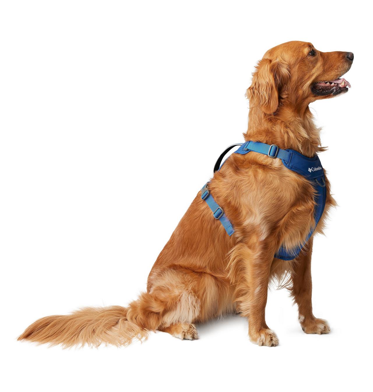 Silver Ridge™ Dog Harness
