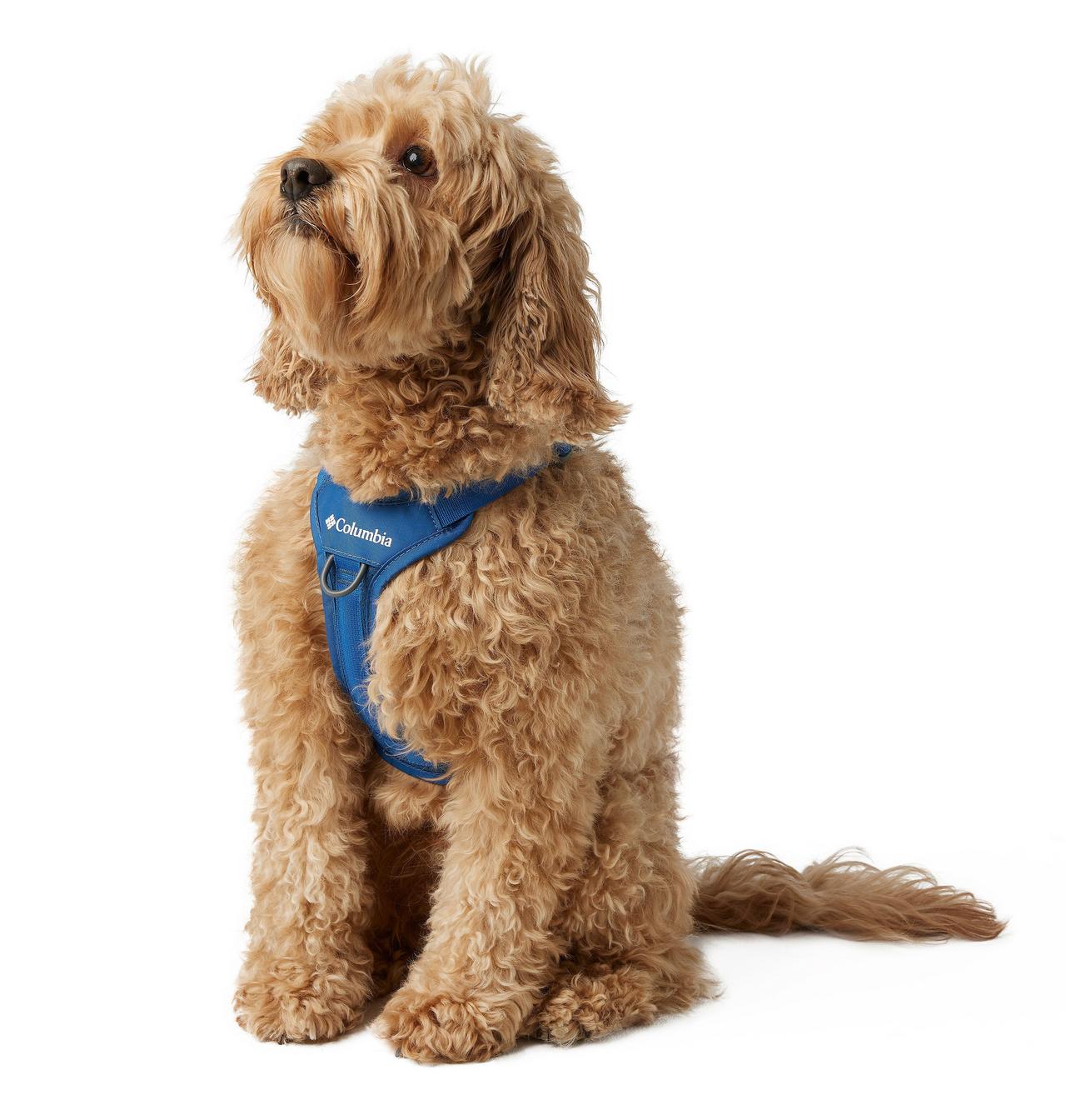 Silver Ridge™ Dog Harness 7
