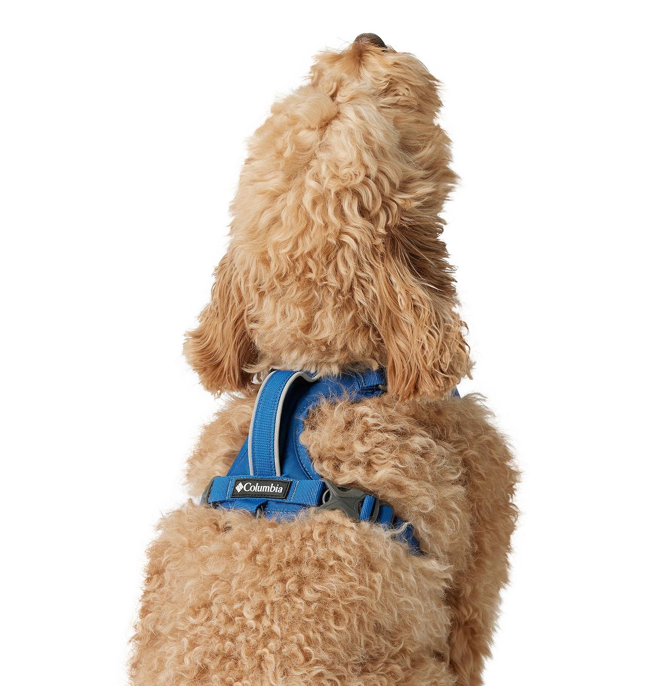 Silver Ridge™ Dog Harness 8