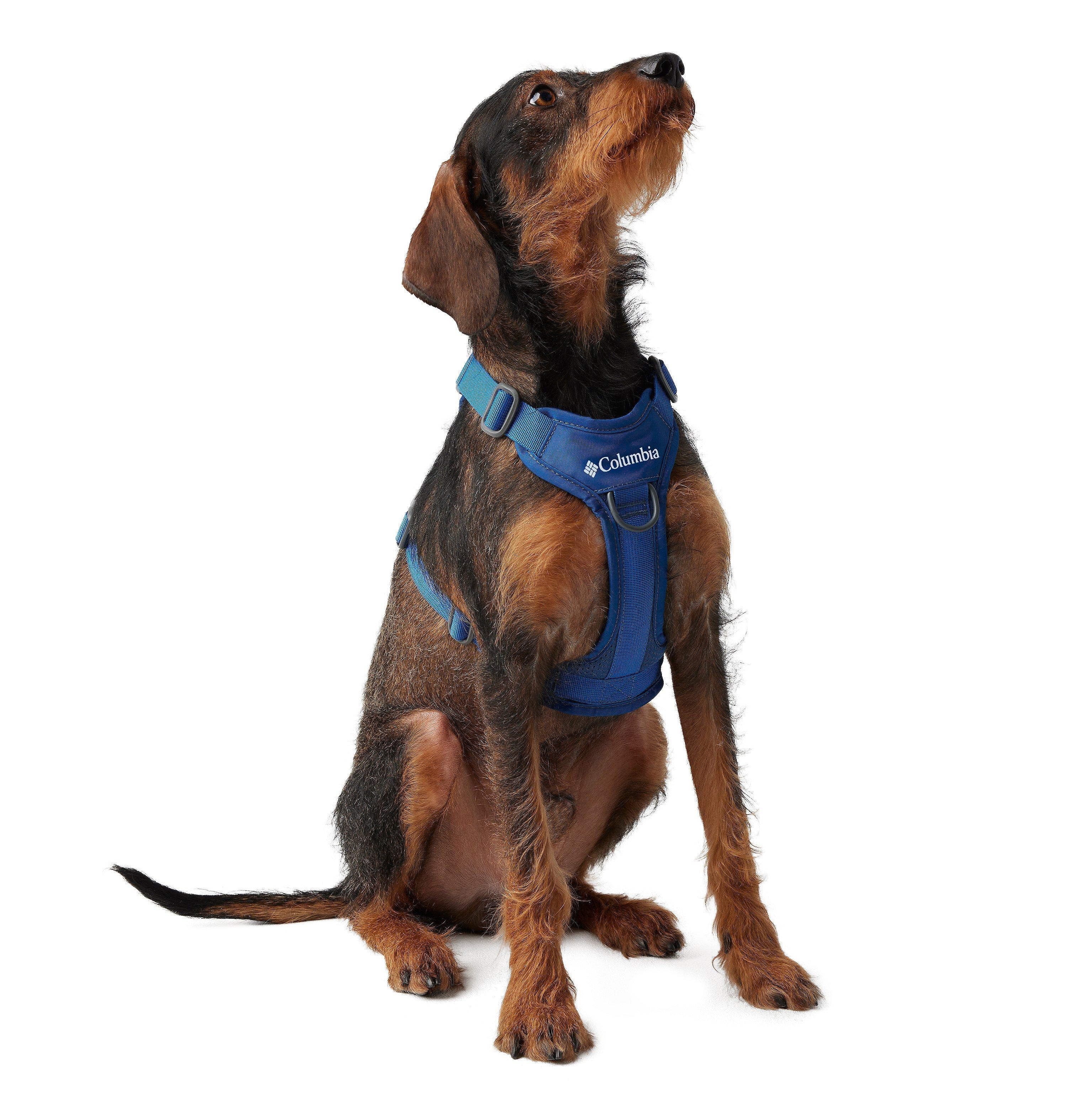 Silver Ridge™ Dog Harness | 432 | L 3