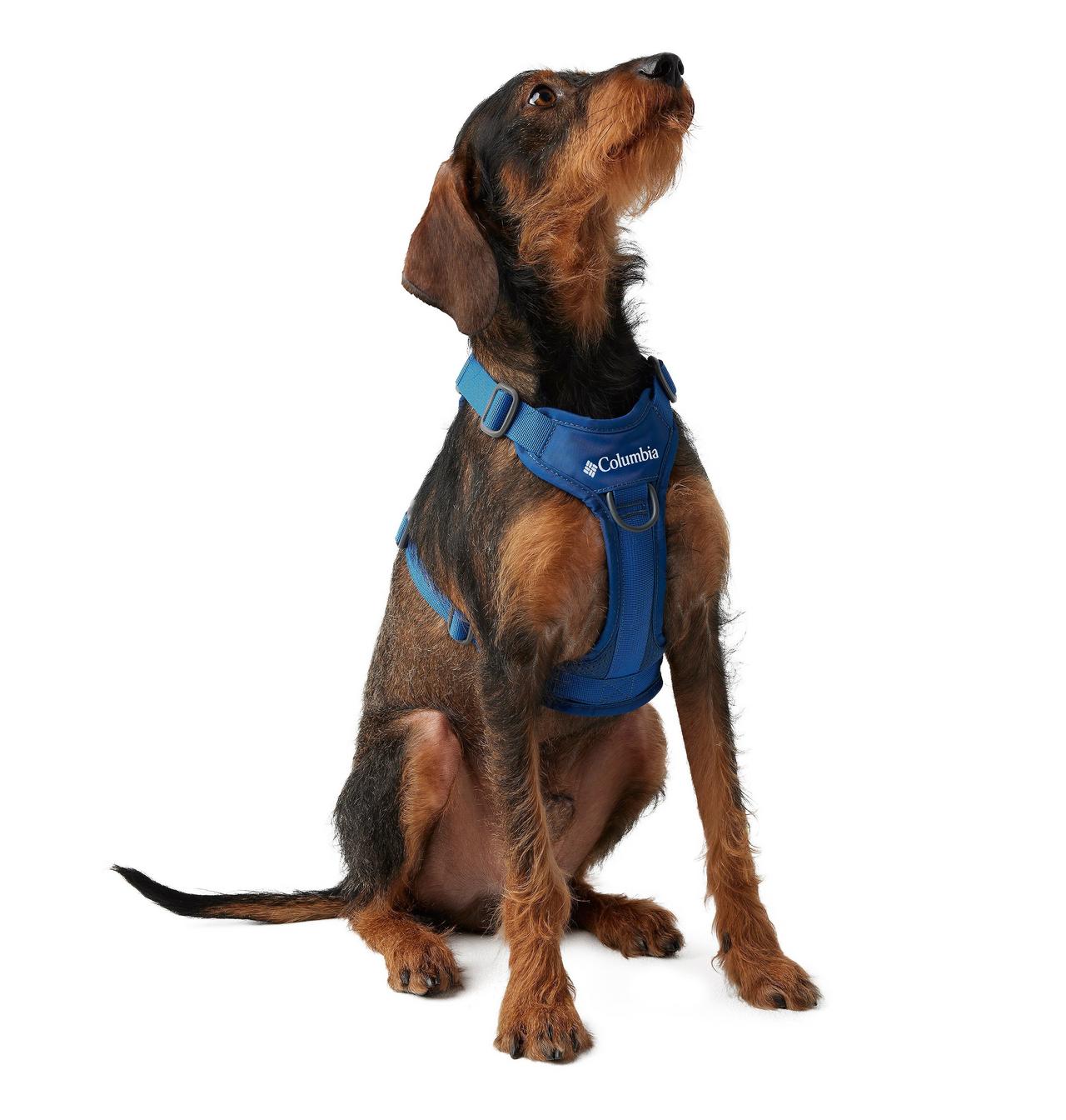 Silver Ridge™ Dog Harness