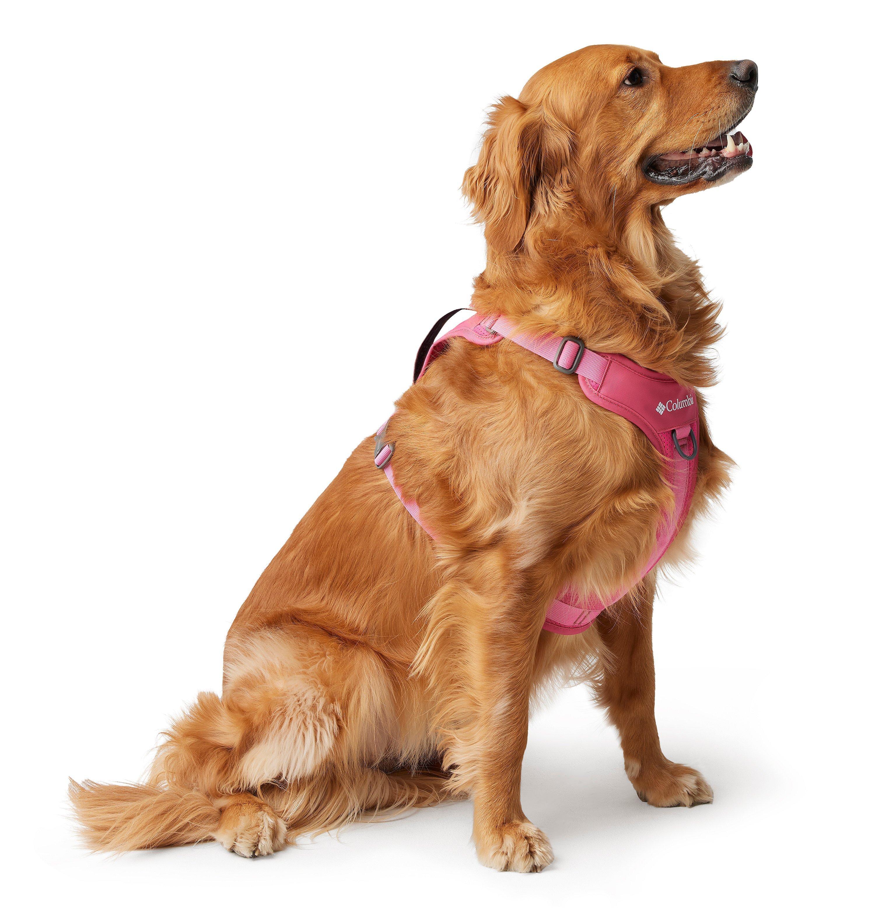 Silver Ridge Dog Harness 5
