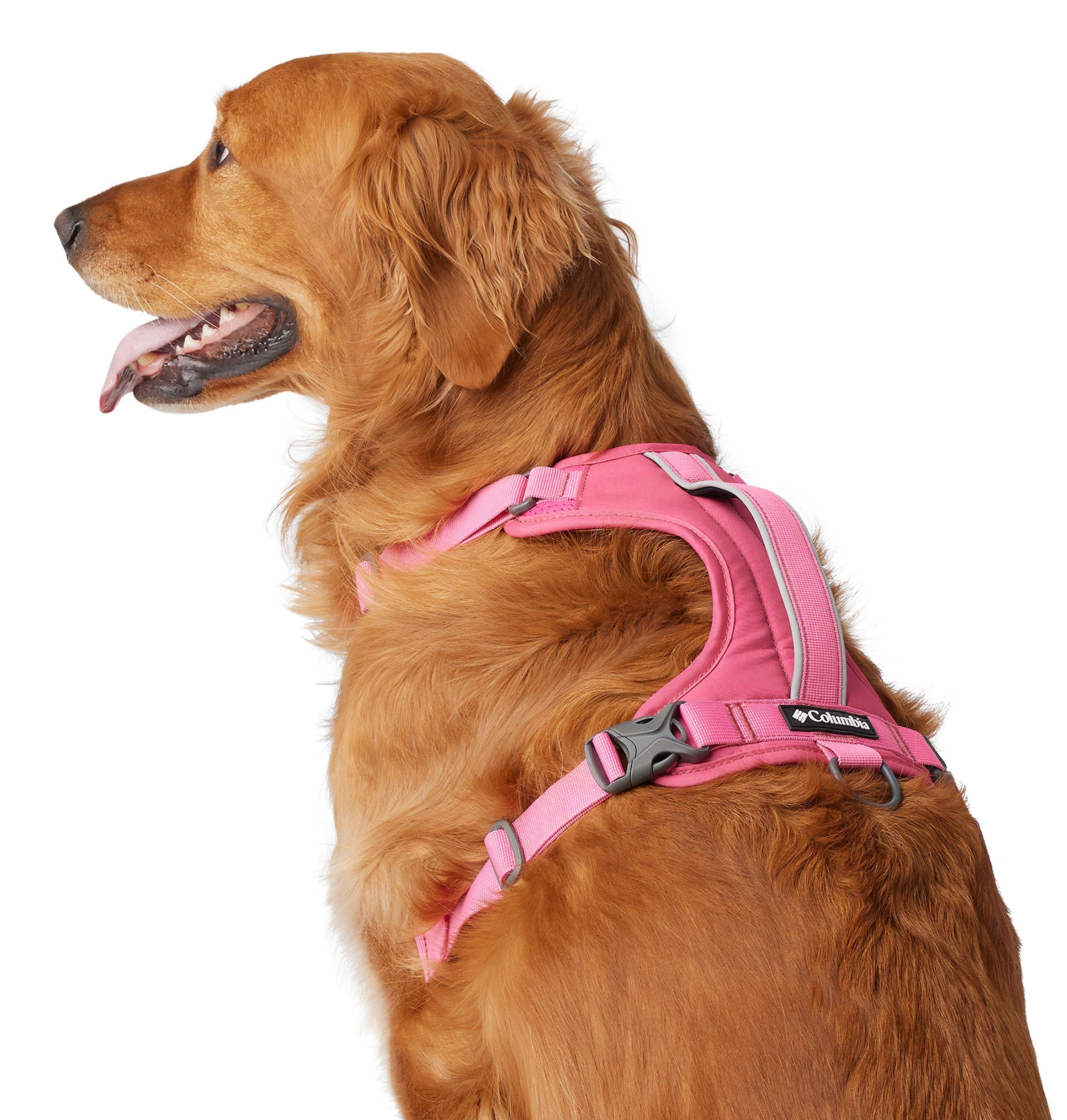 Silver Ridge Dog Harness 6