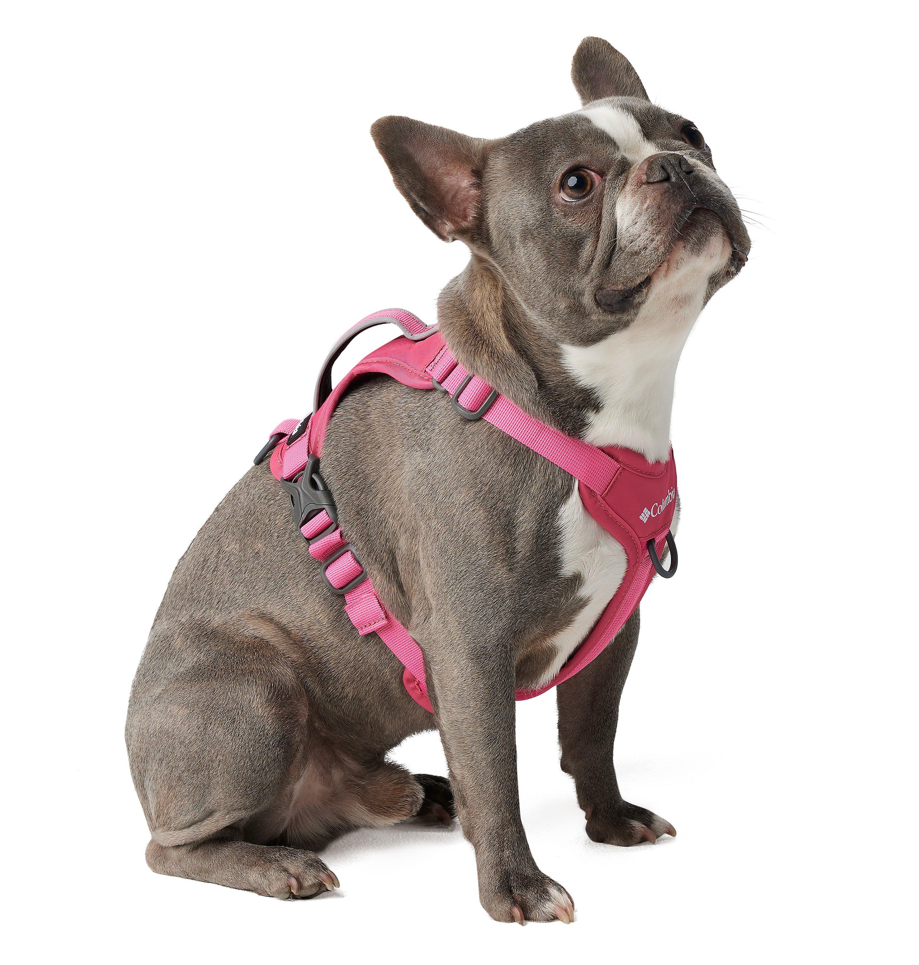 Silver Ridge Dog Harness 7