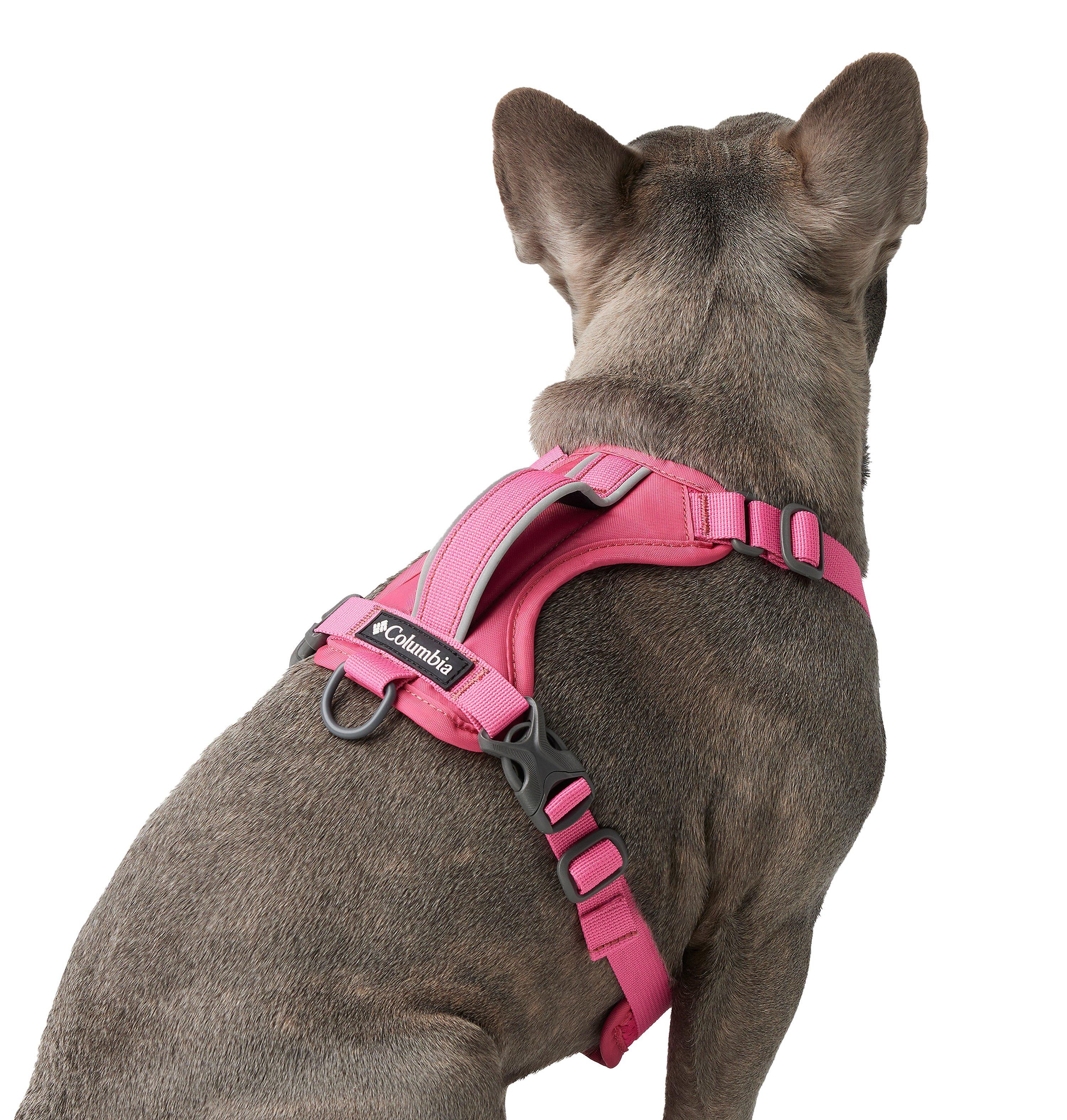 Silver Ridge Dog Harness 8