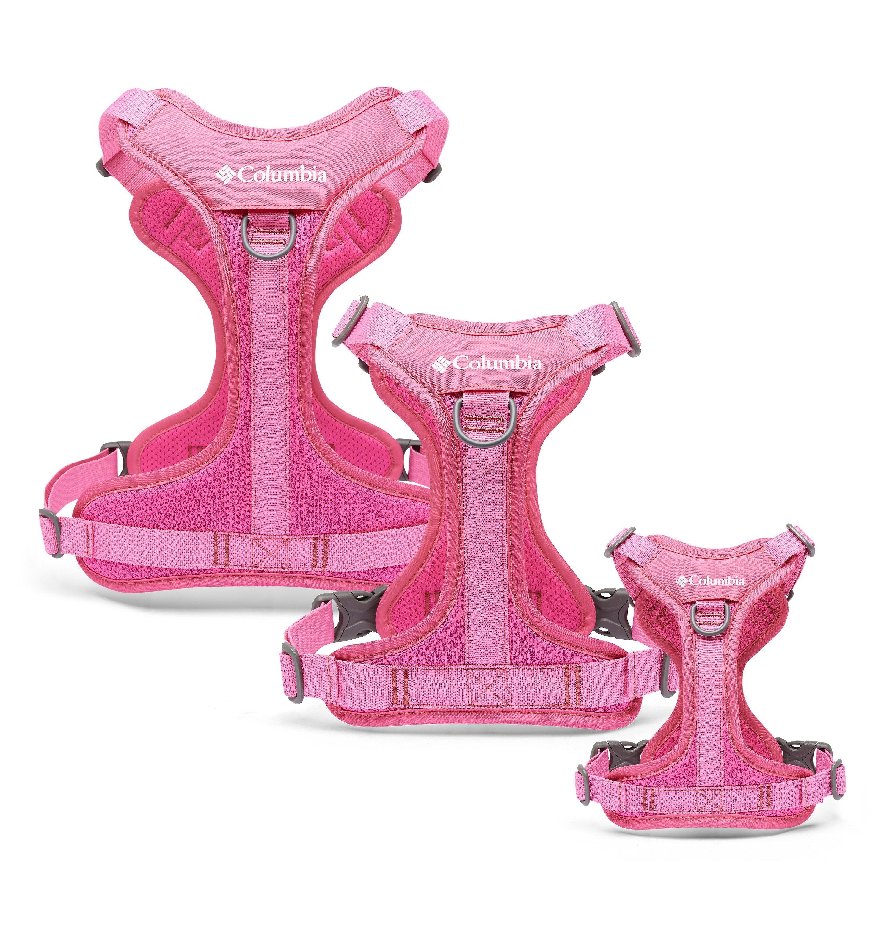 Silver Ridge Dog Harness 11