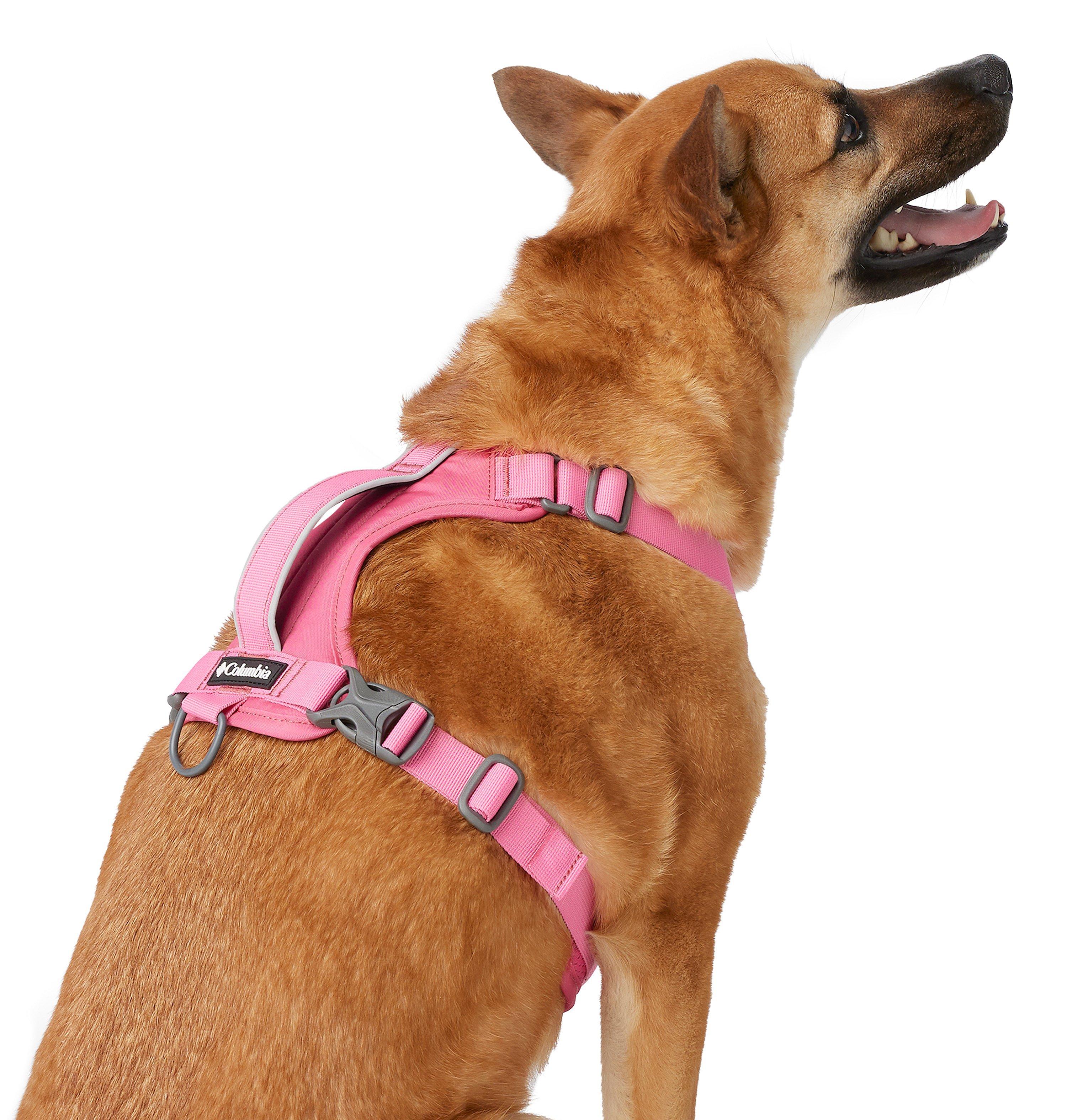 Silver Ridge Dog Harness 4