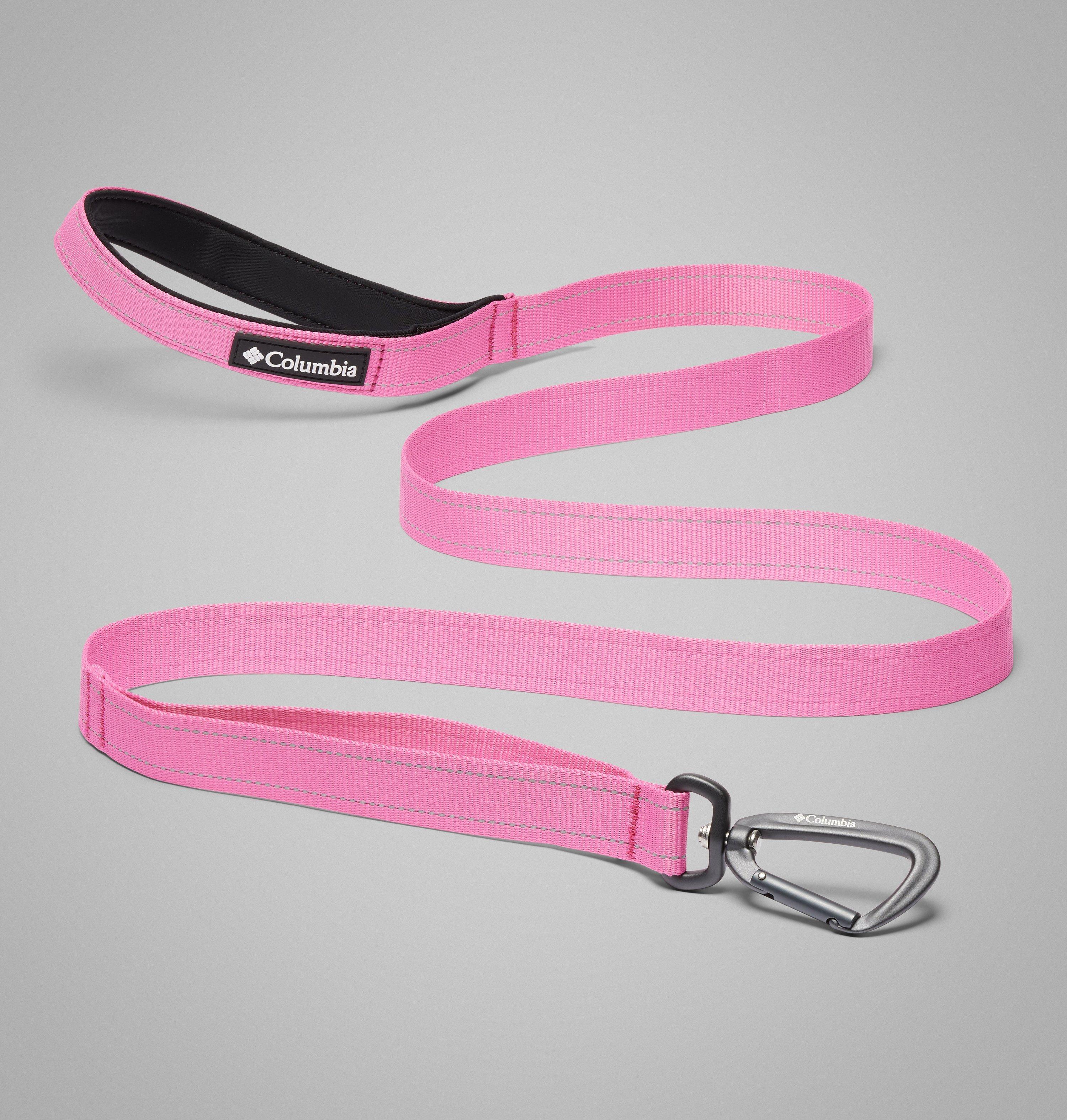 Silver Ridge Dog Control Leash 1