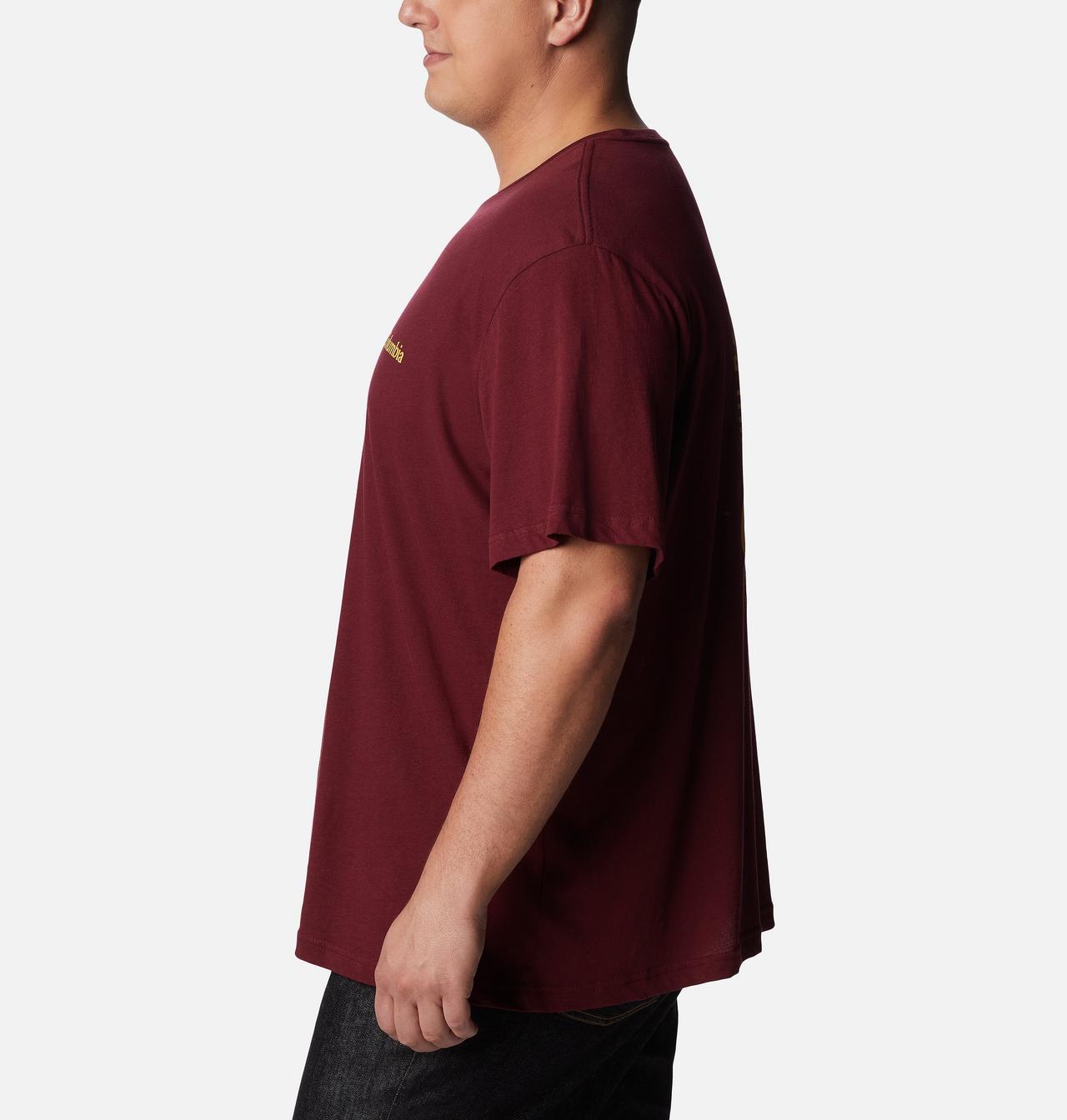 Men's Rocky Graphic T-Shirt - Big 3