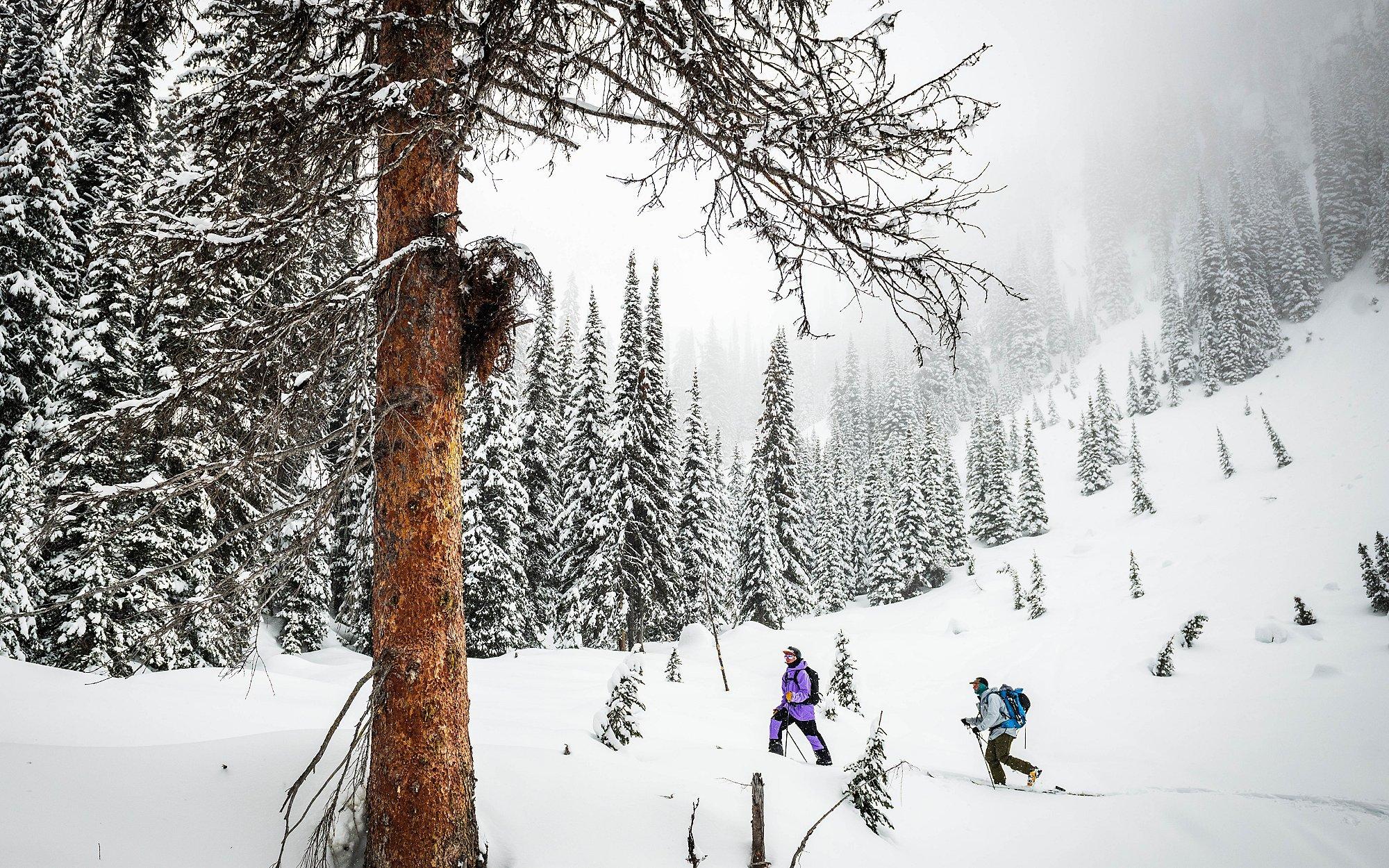 Hank Sowers and Director Ryan-PaulCollins making their own way through snow in the backcountry.