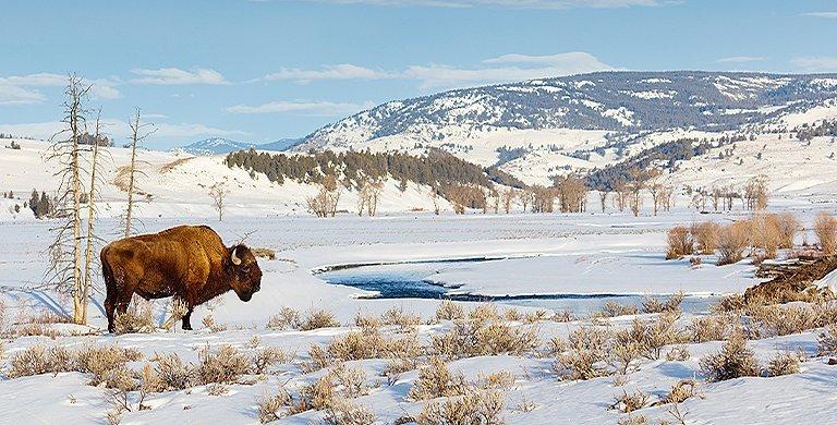 Winter is an incredible time to see America’s national parks—here’s everything you need to know to plan a visit.