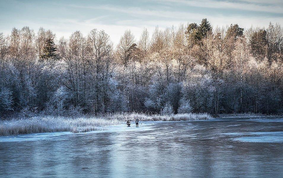 A beautiful scenic shot of a glassy ice-covered lake in the morning light with misty snow-covered trees in the background. 
