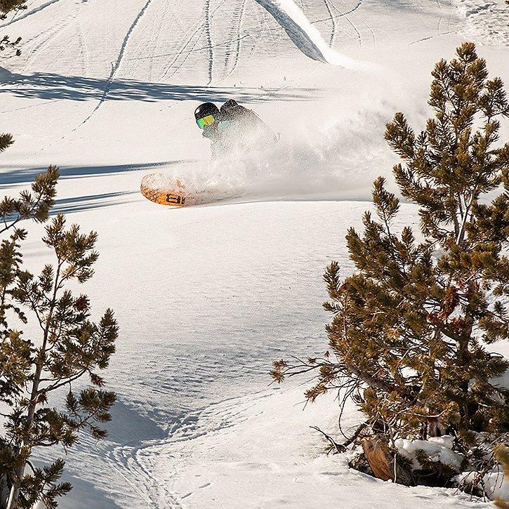 skiing by some trees in the backcountry
